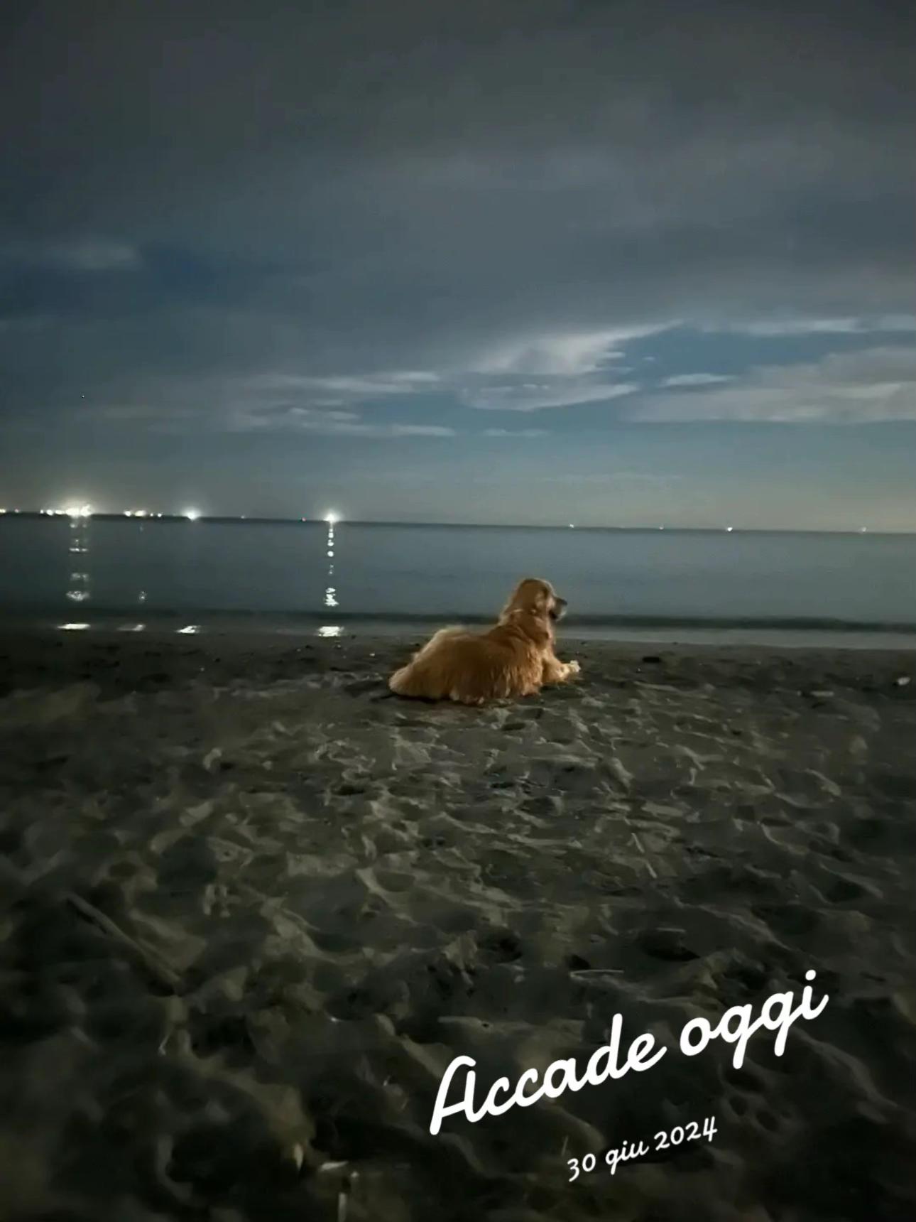 @Elisabetta Di Cesare