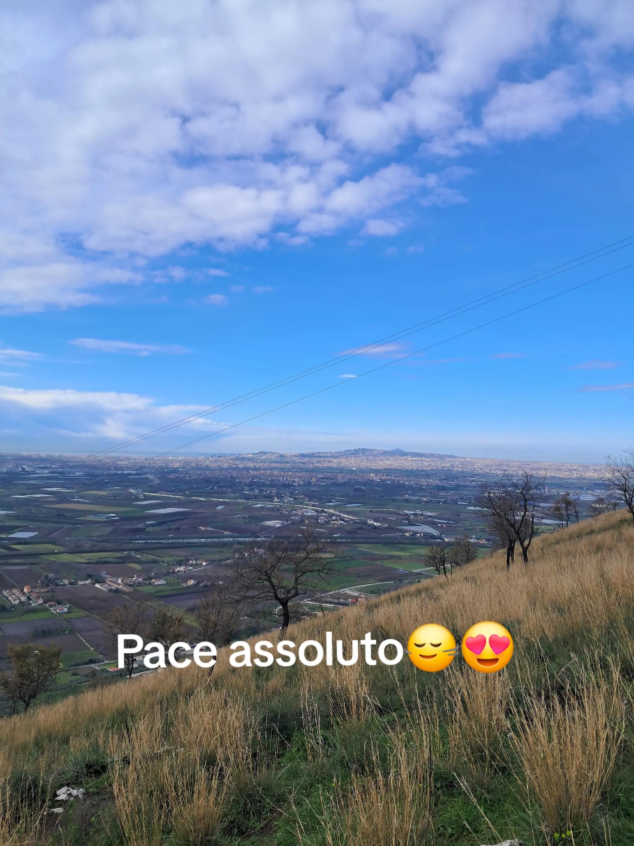 @rosa.esposito82