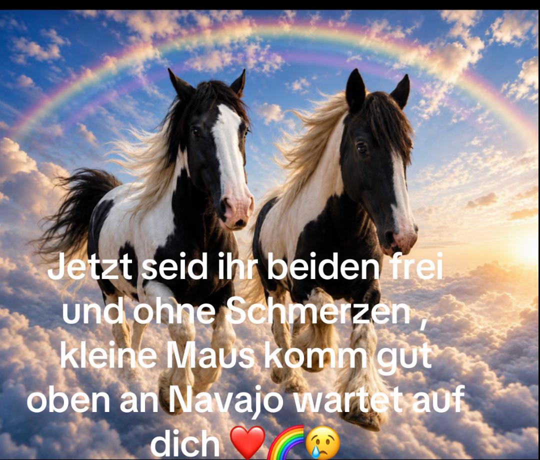 @Verena