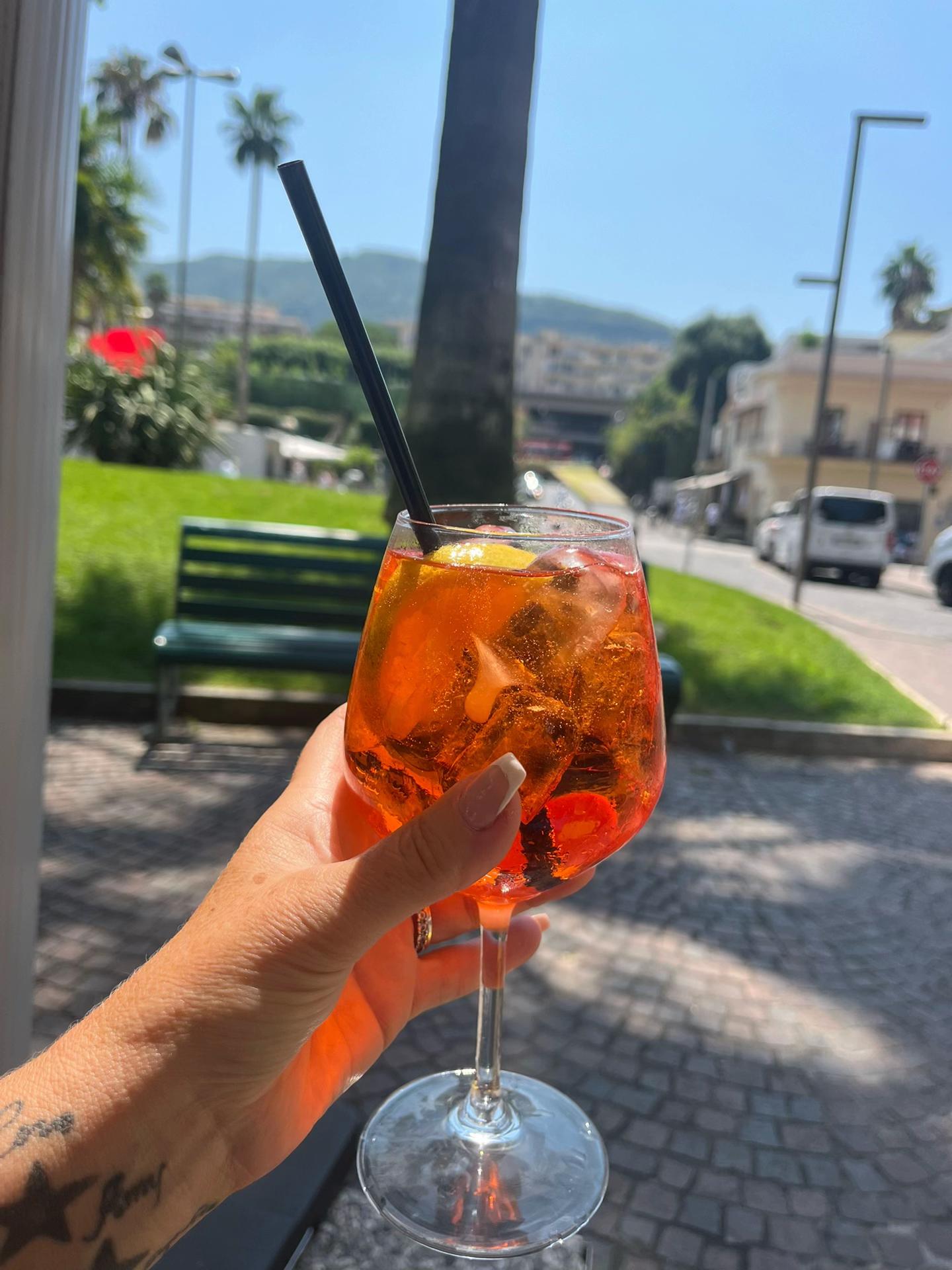 @Rolo🦮 fox red lab🐾🧡