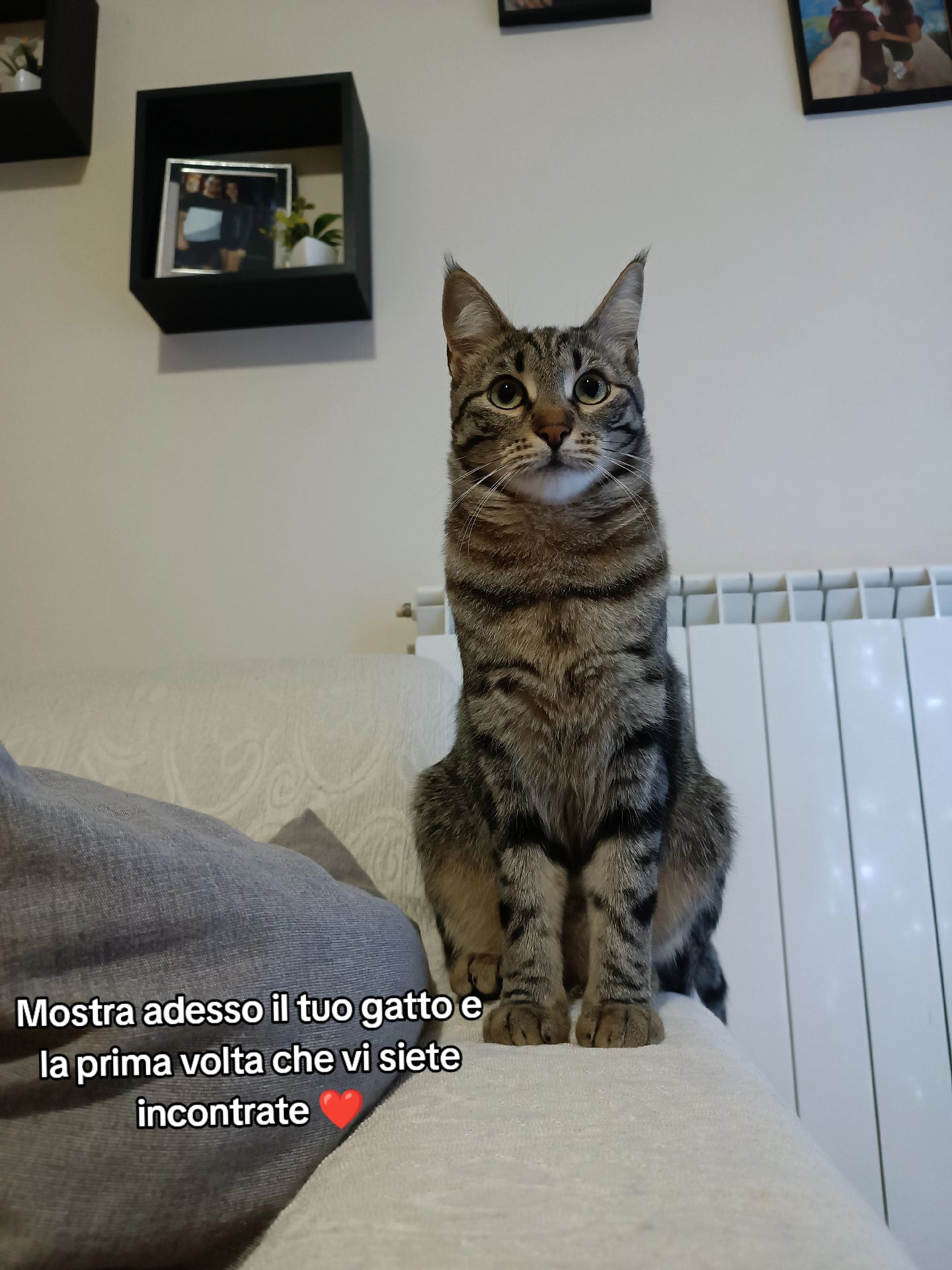 @Federica Moretti