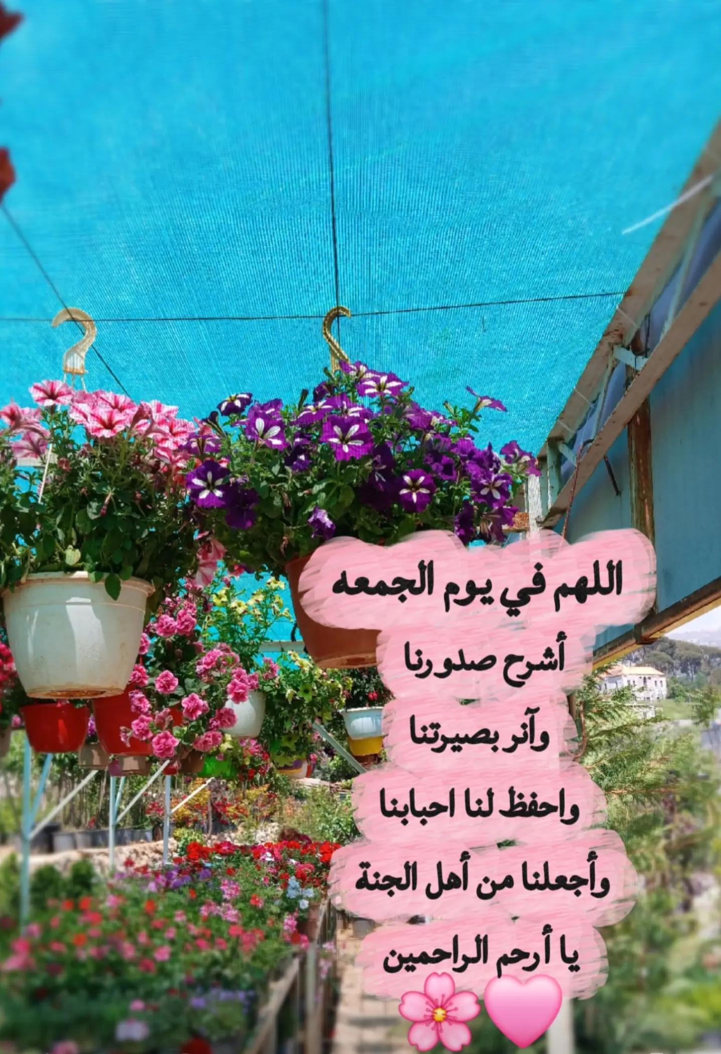 @❥︎ 𝑶𝒎 𝑨𝒅𝒂𝒎 ❥︎