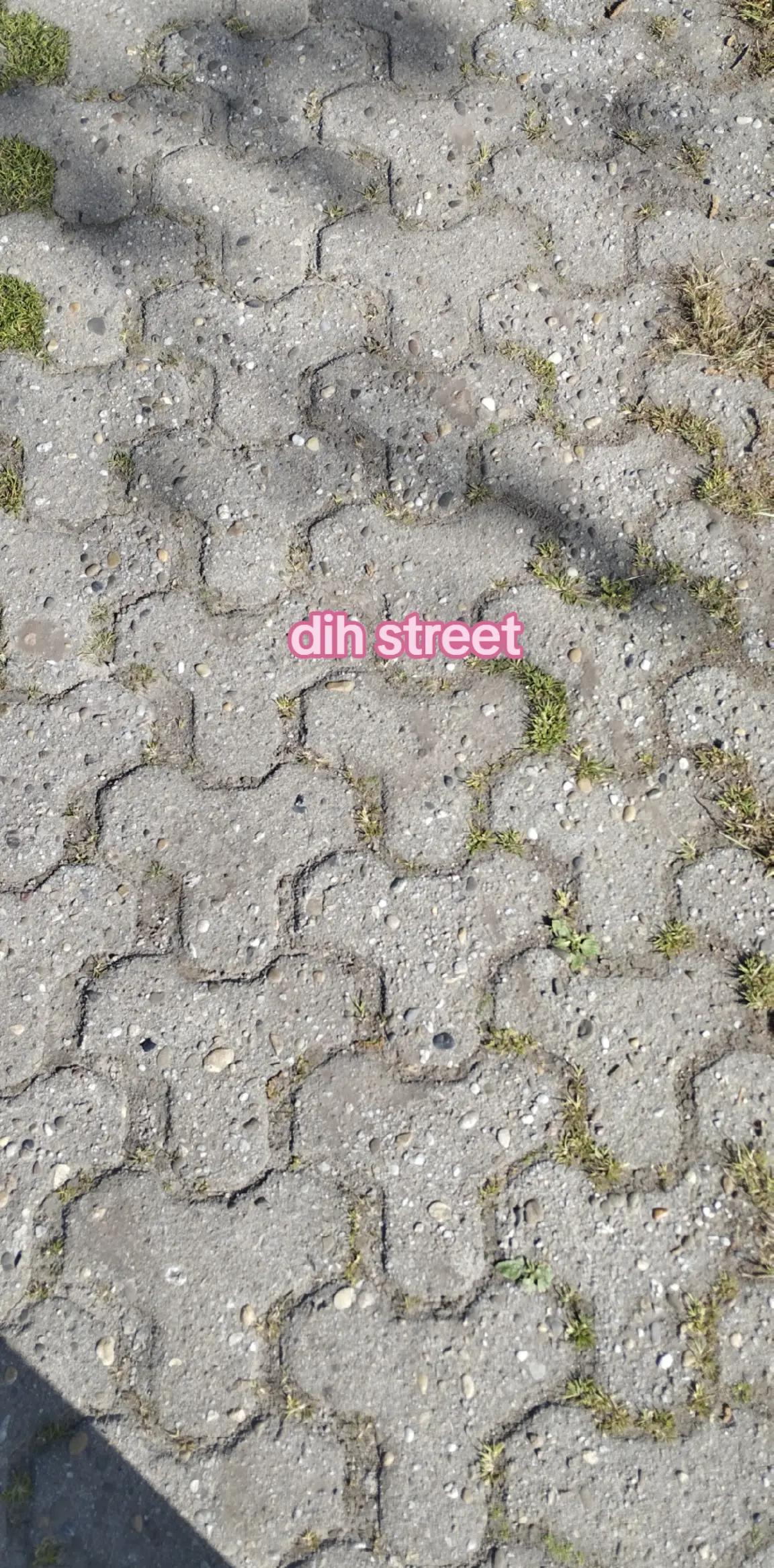@⭐🪽