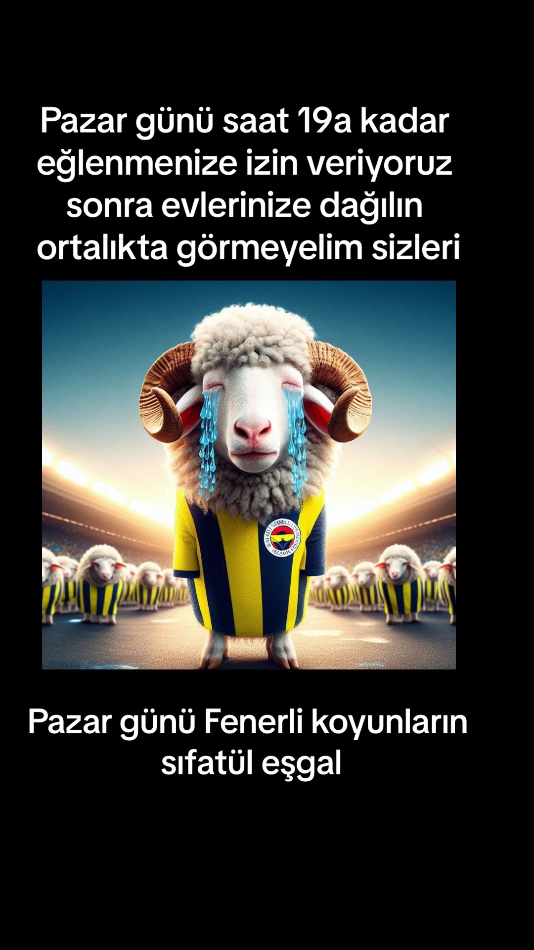 @dlnaydn