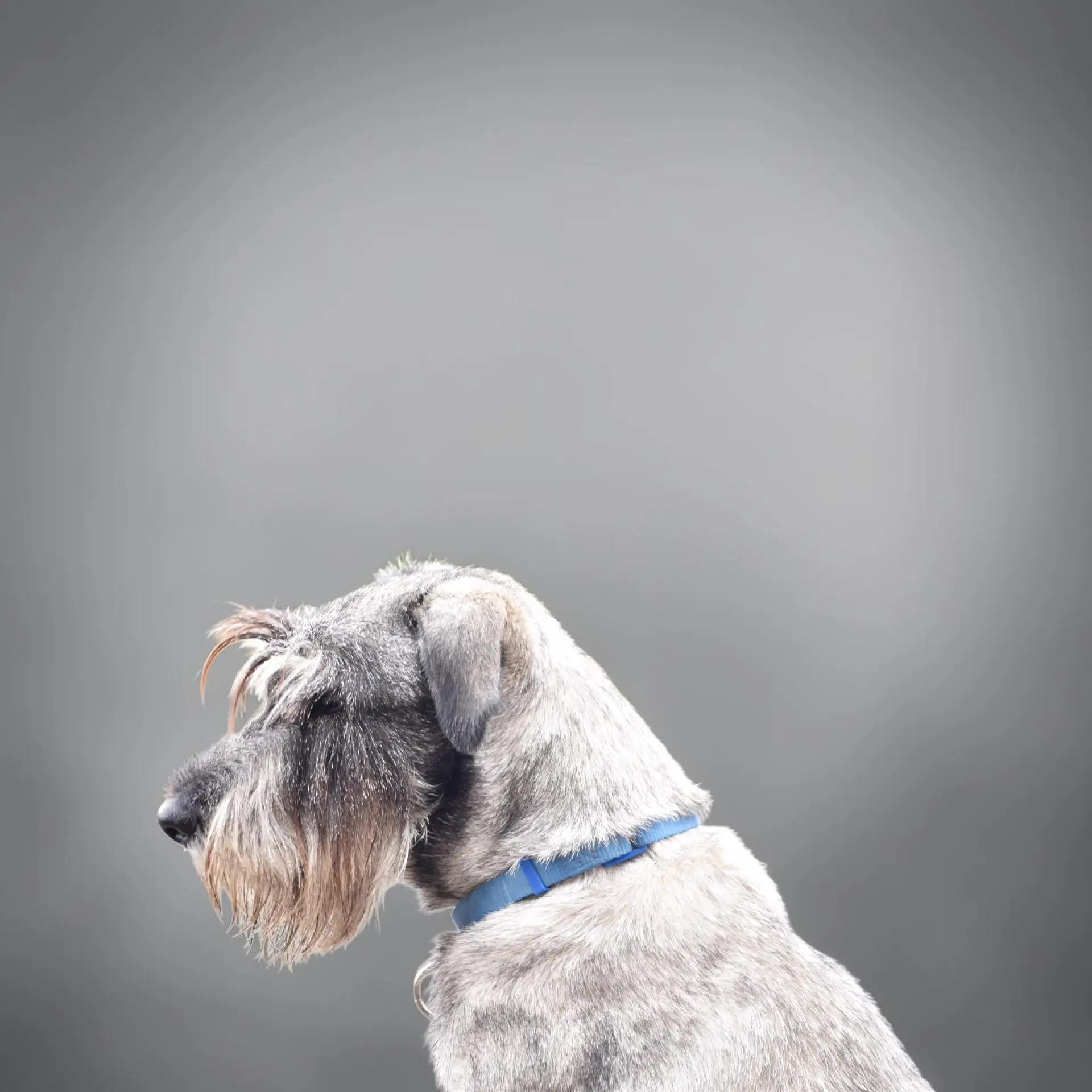 @havr-photo.picfair.com