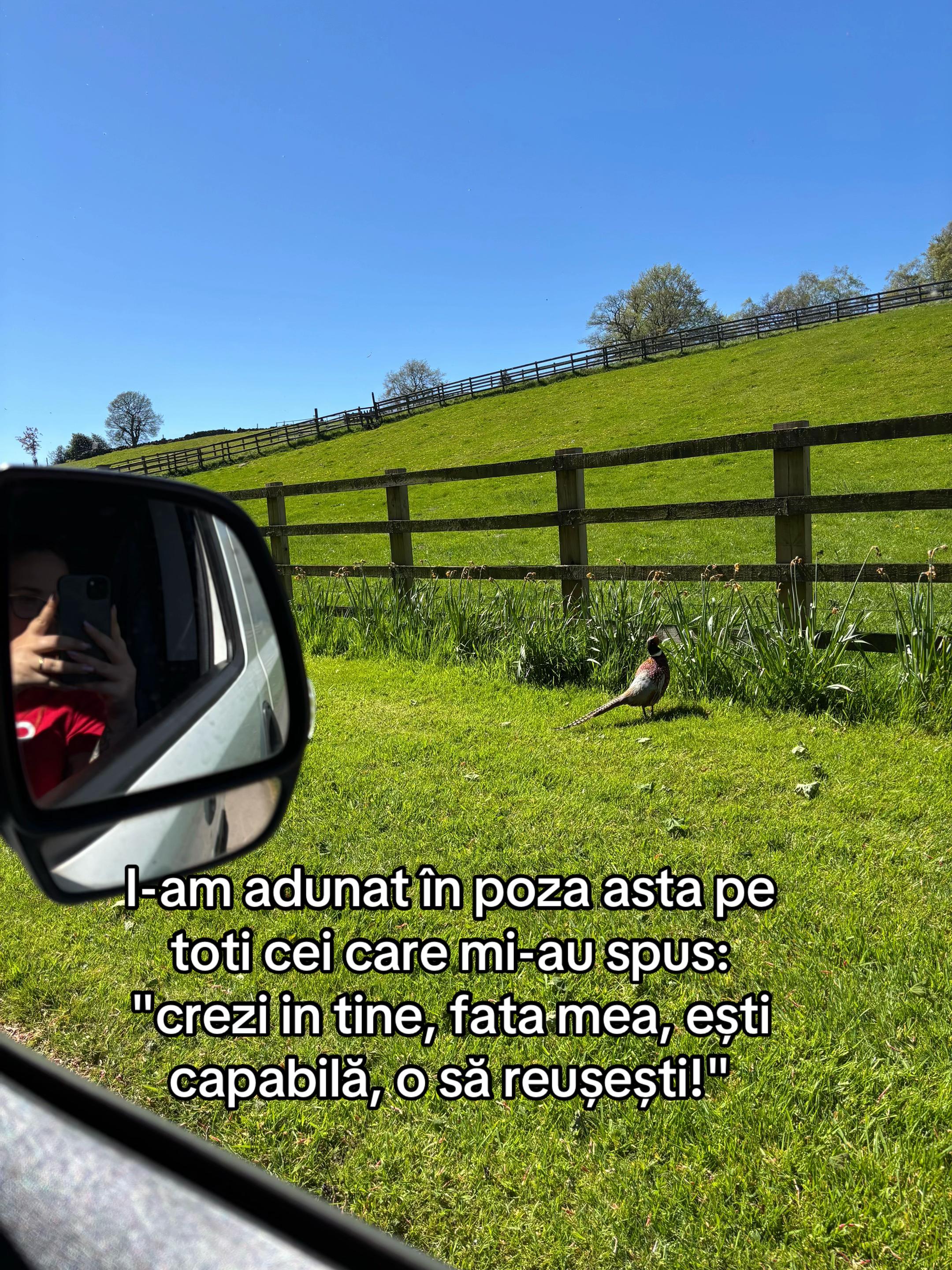 @Andreea Toldea