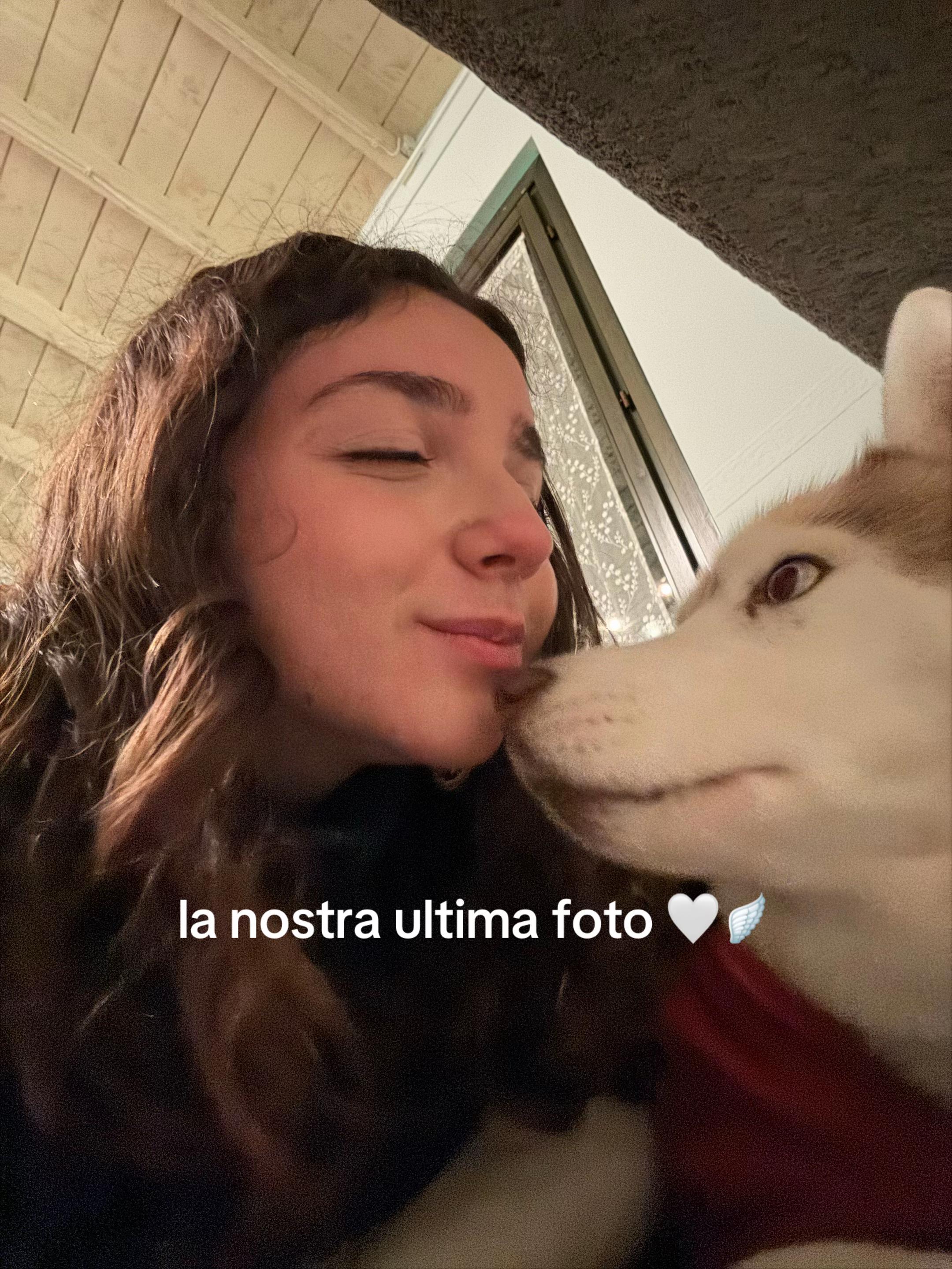 @laulau