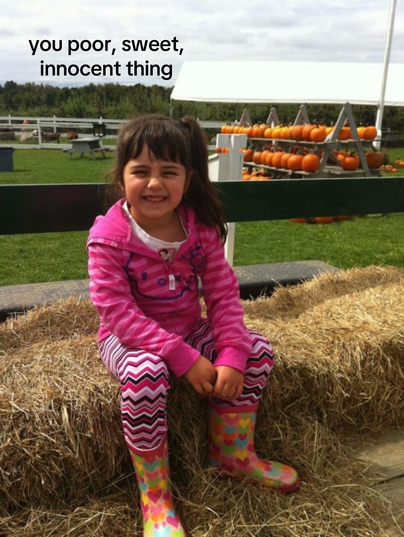 @mack