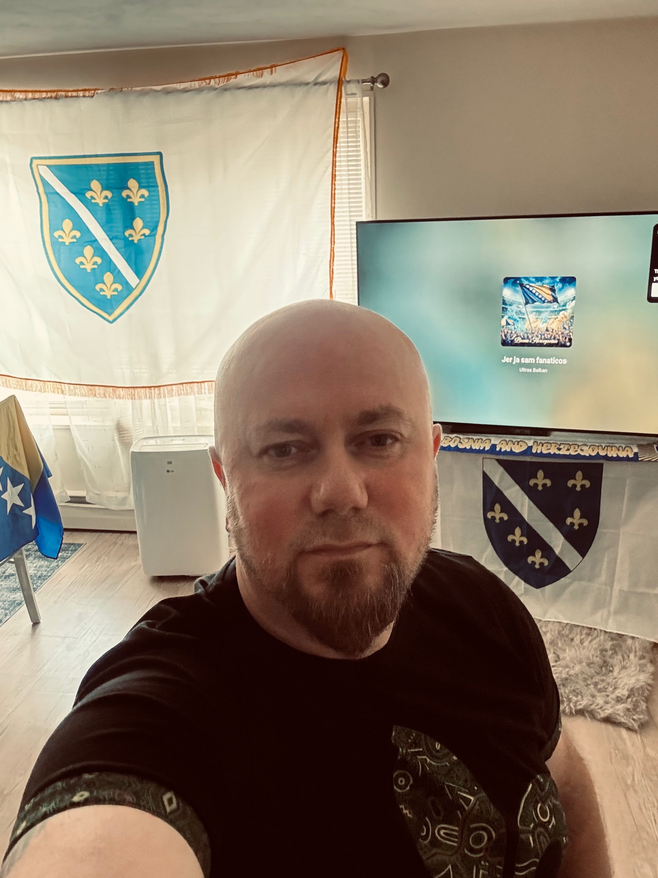@Amir Tesanj82