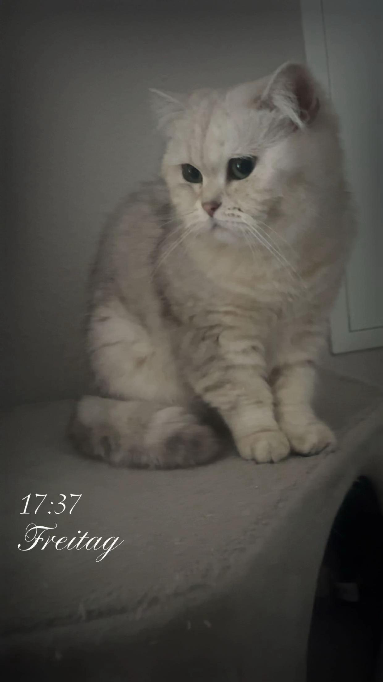 @𝓛𝓮𝓻𝓪
