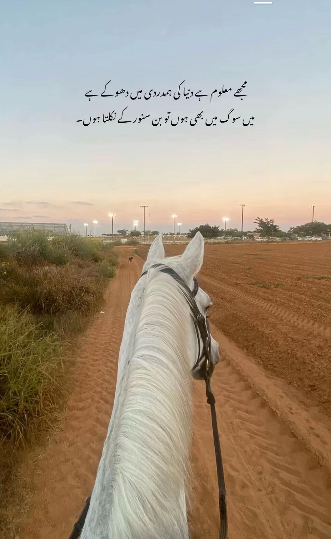@SARFRAZ 🥀🖤