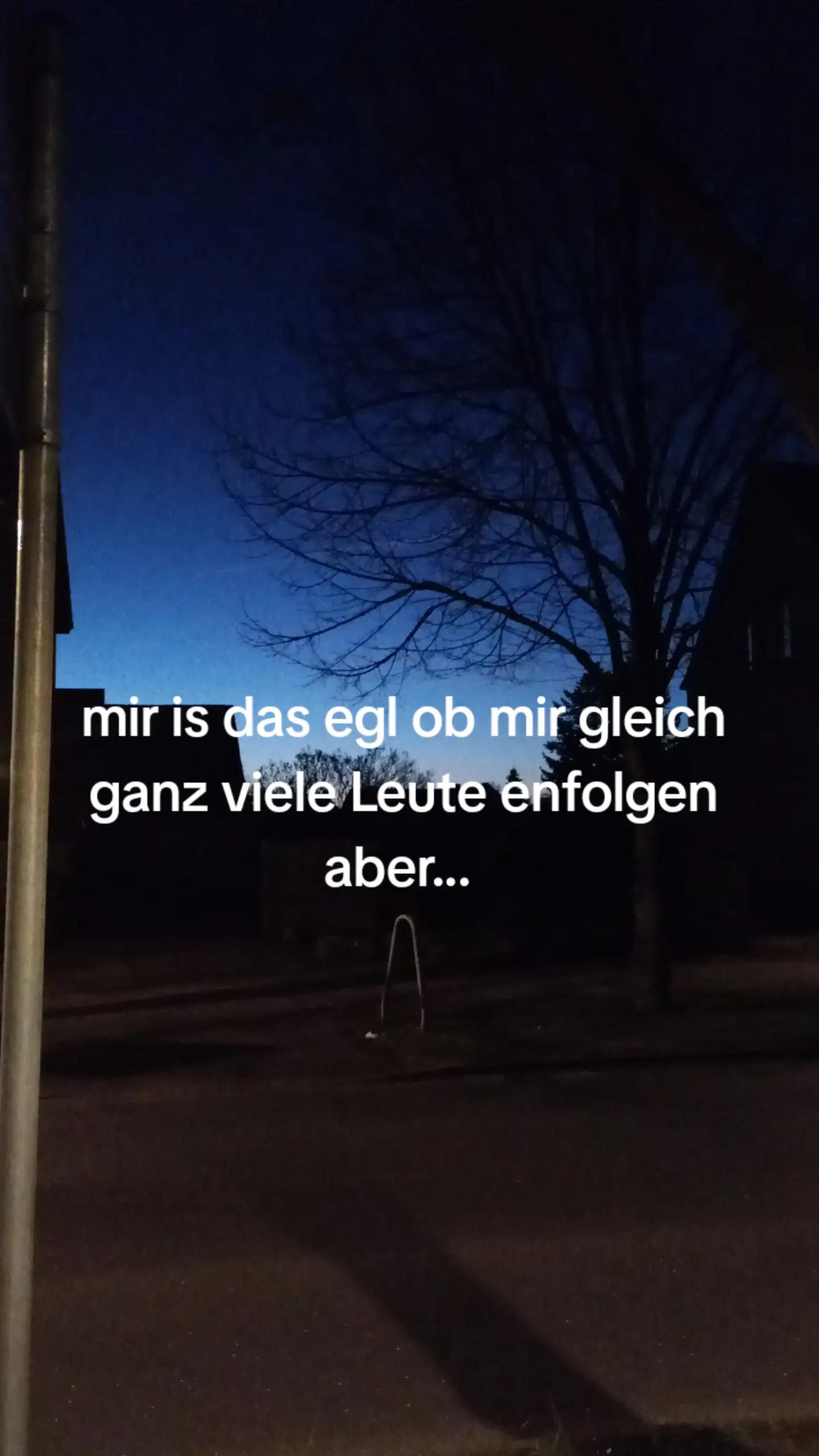 @ᴡᴀᴠᴇ զxɾz!