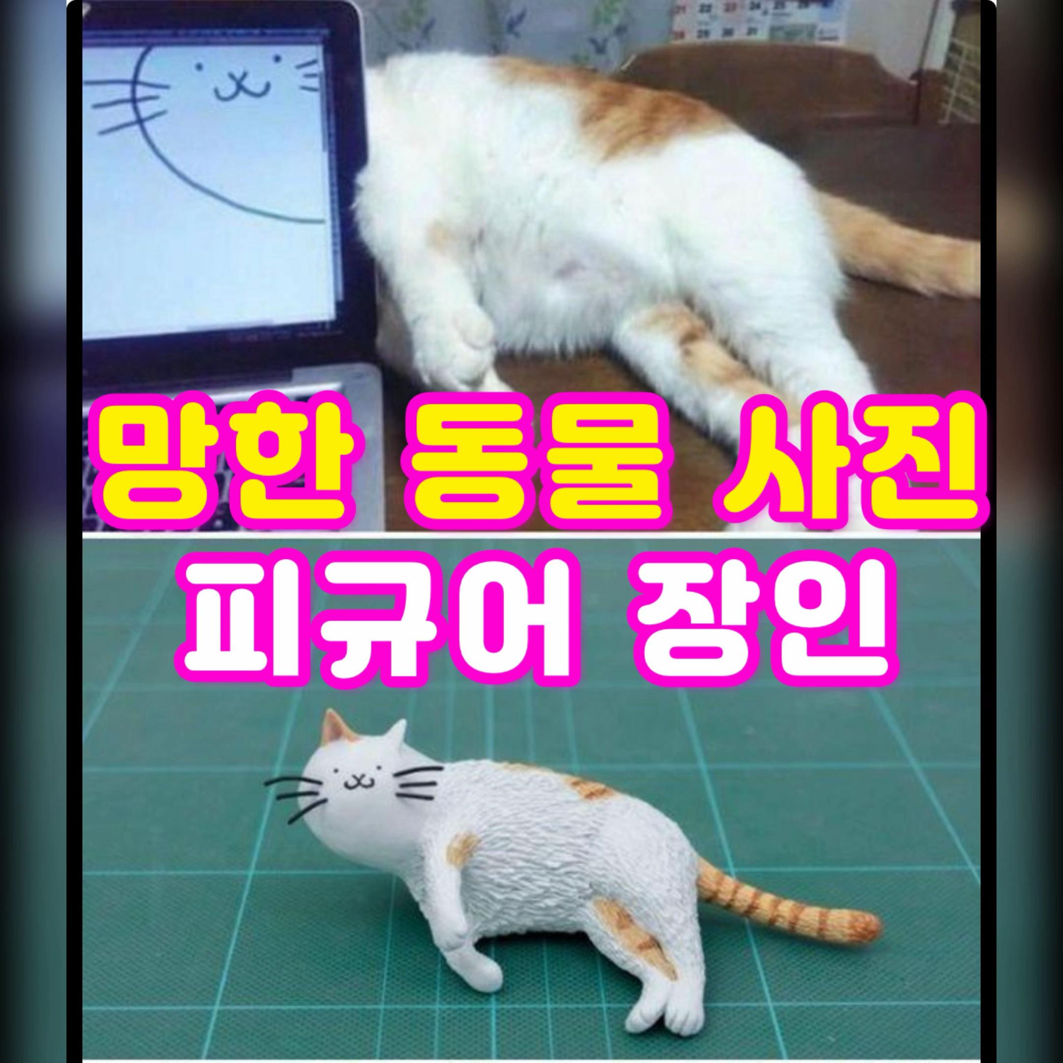 @개그살롱