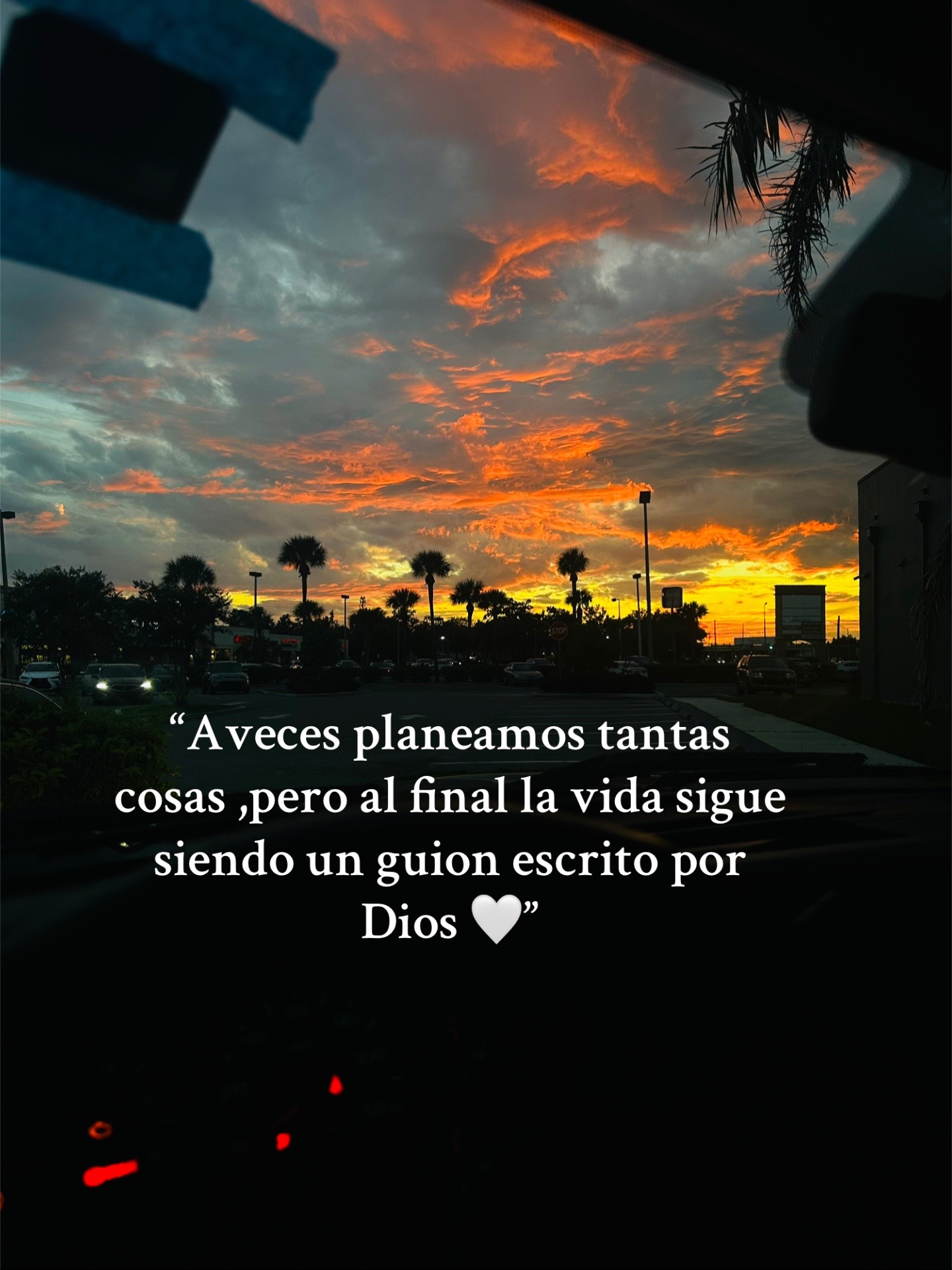 @maricelaexiga12