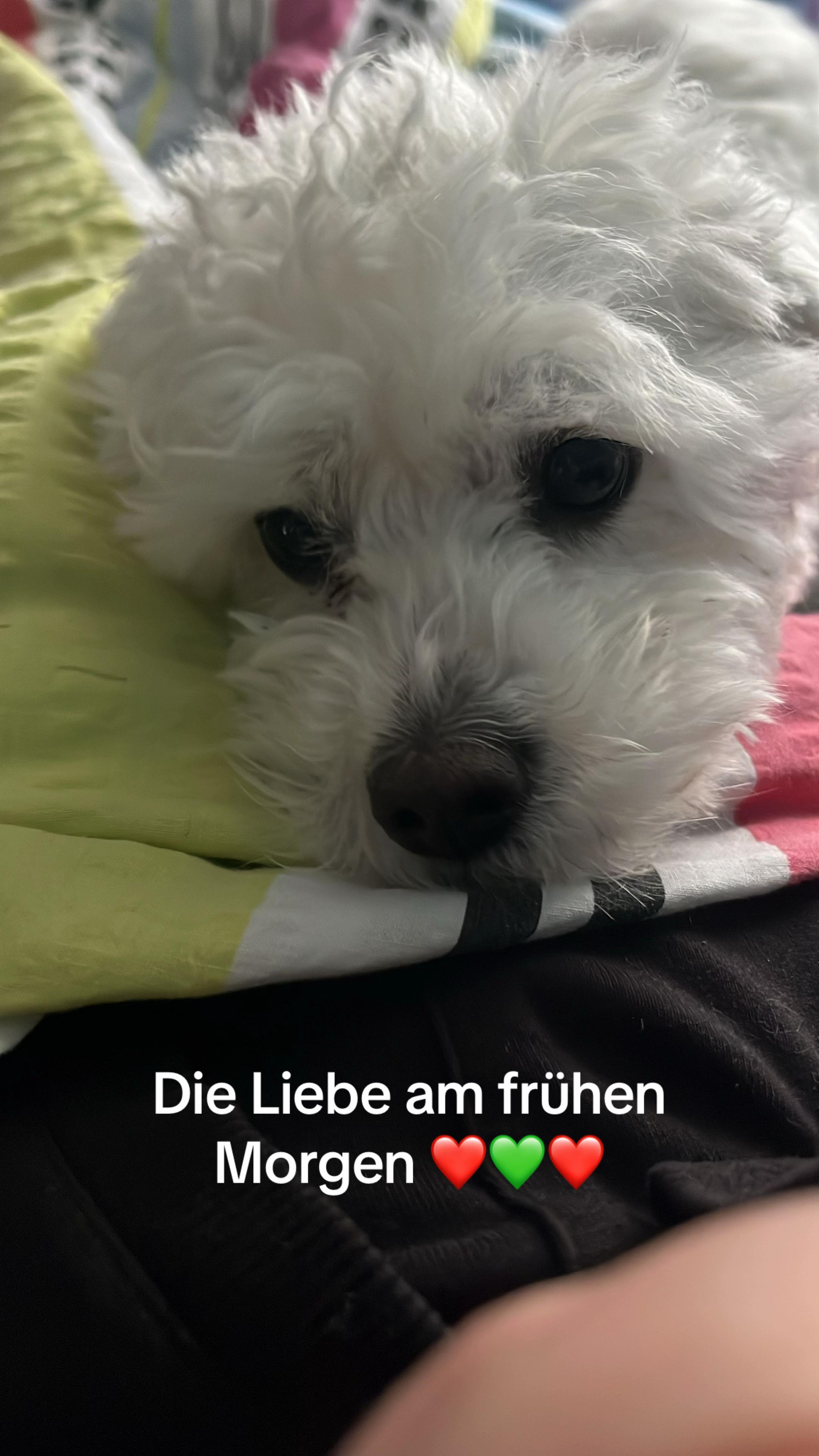 @Molly 🥰