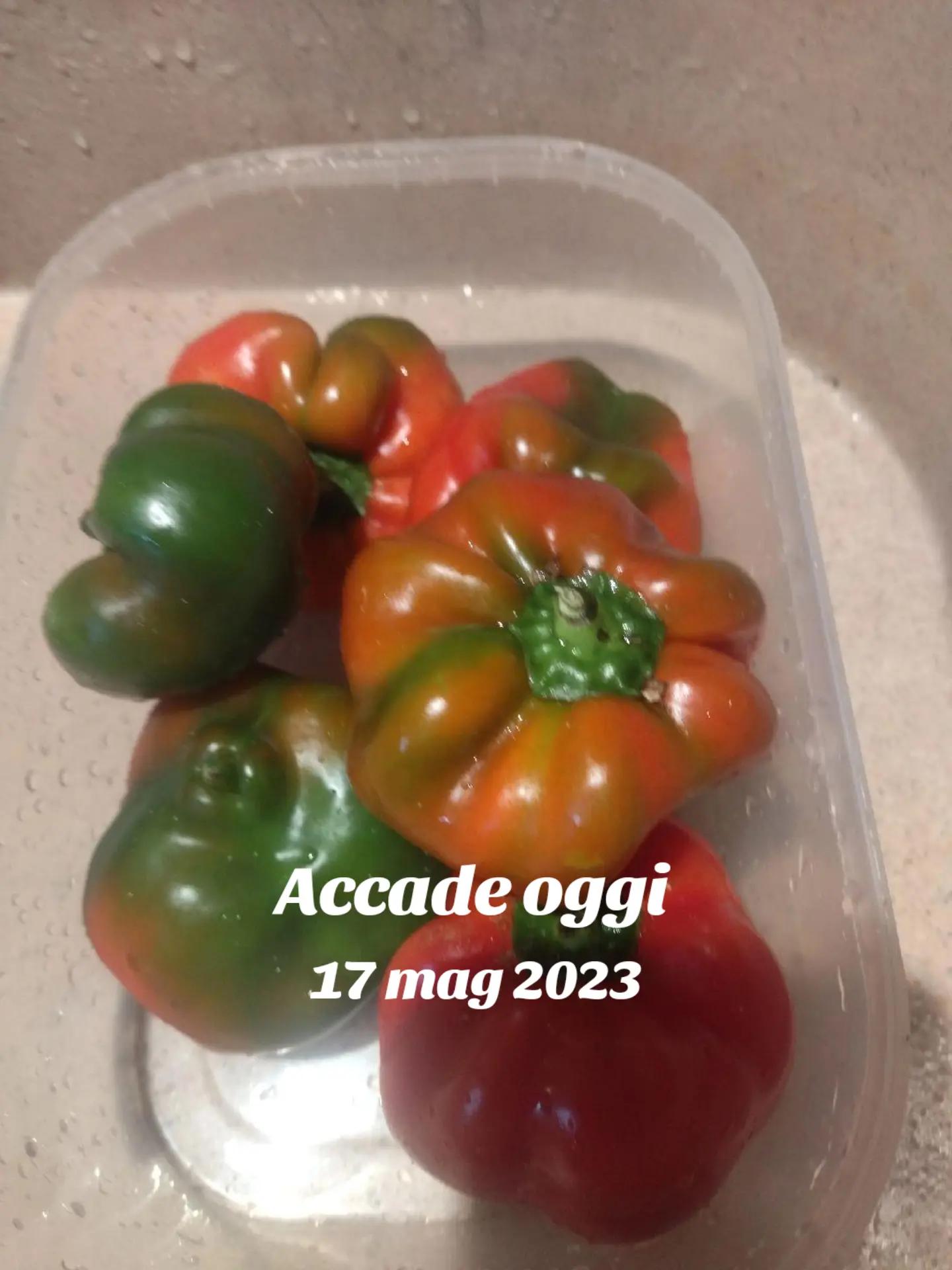 @Antonella Fratella
