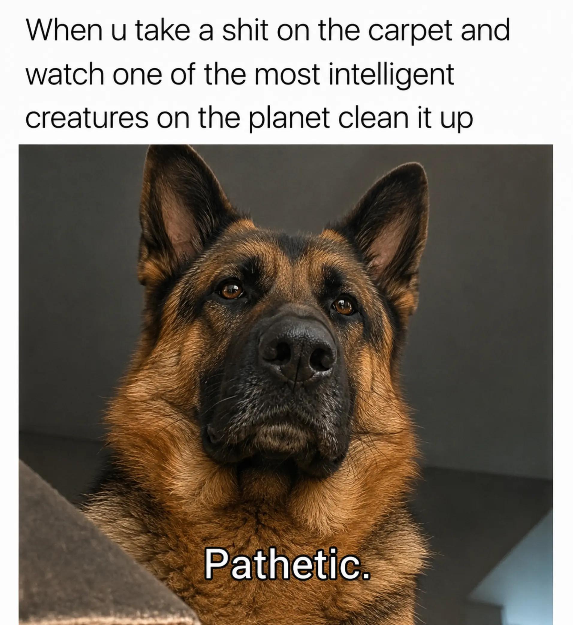 @GSD.PRIDE