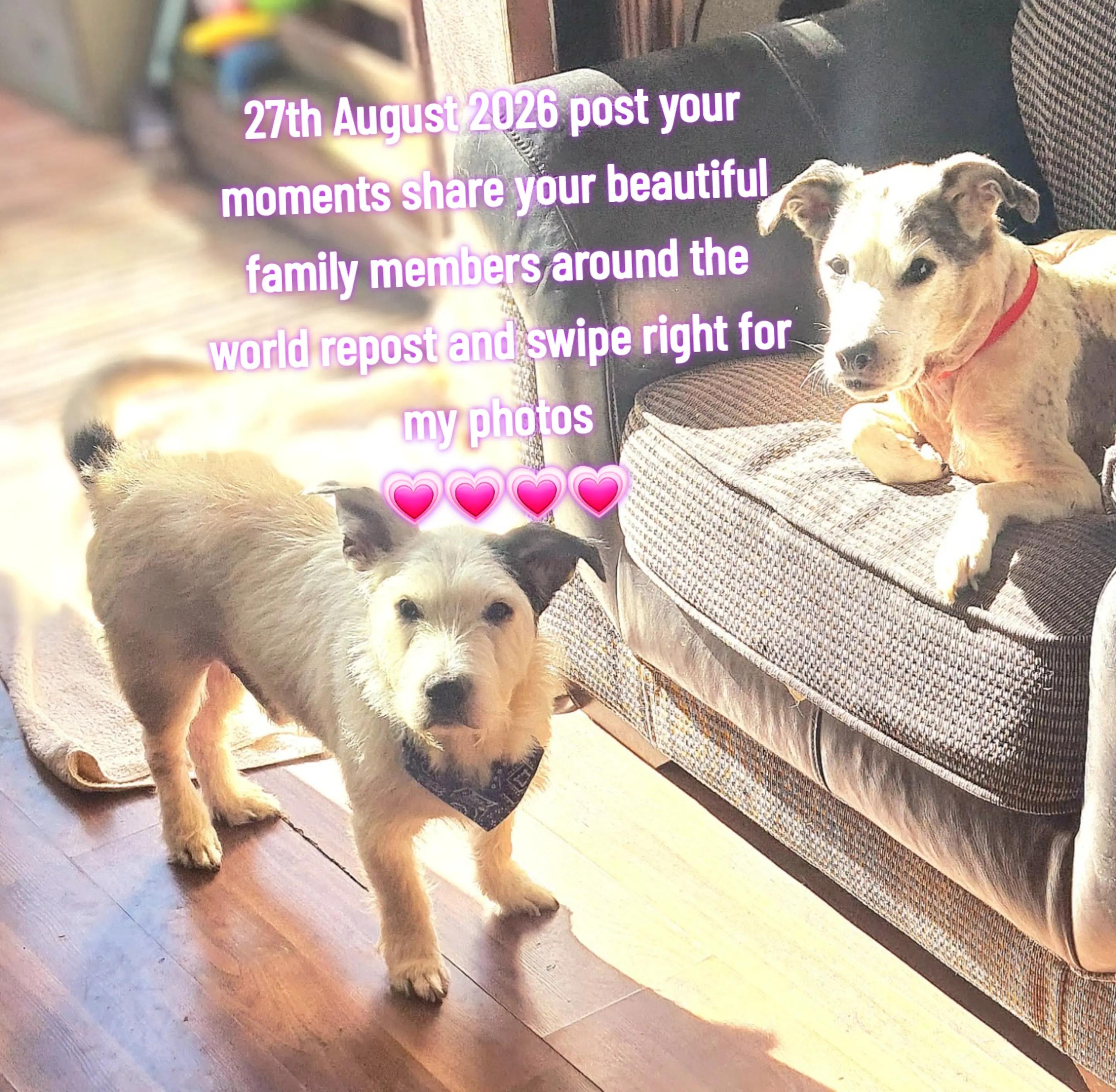 @claire🌈BellaBertErnie💙T&D