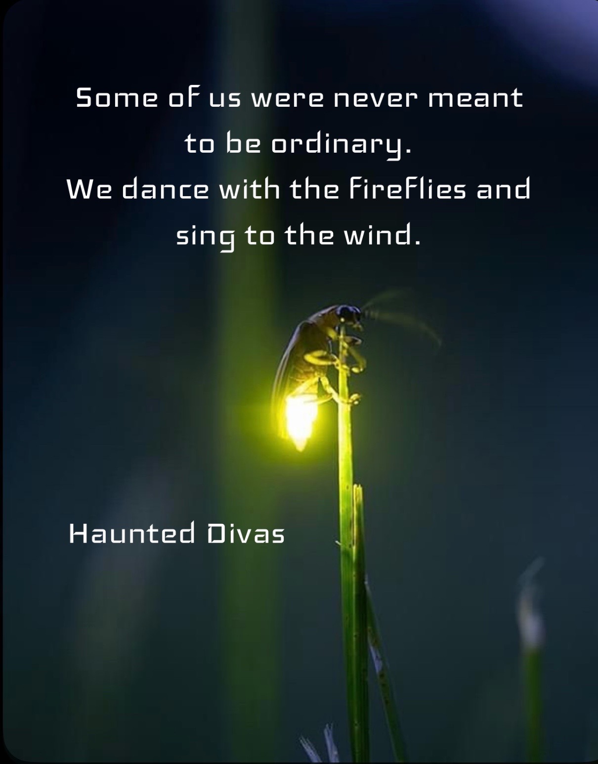 @haunted.divas