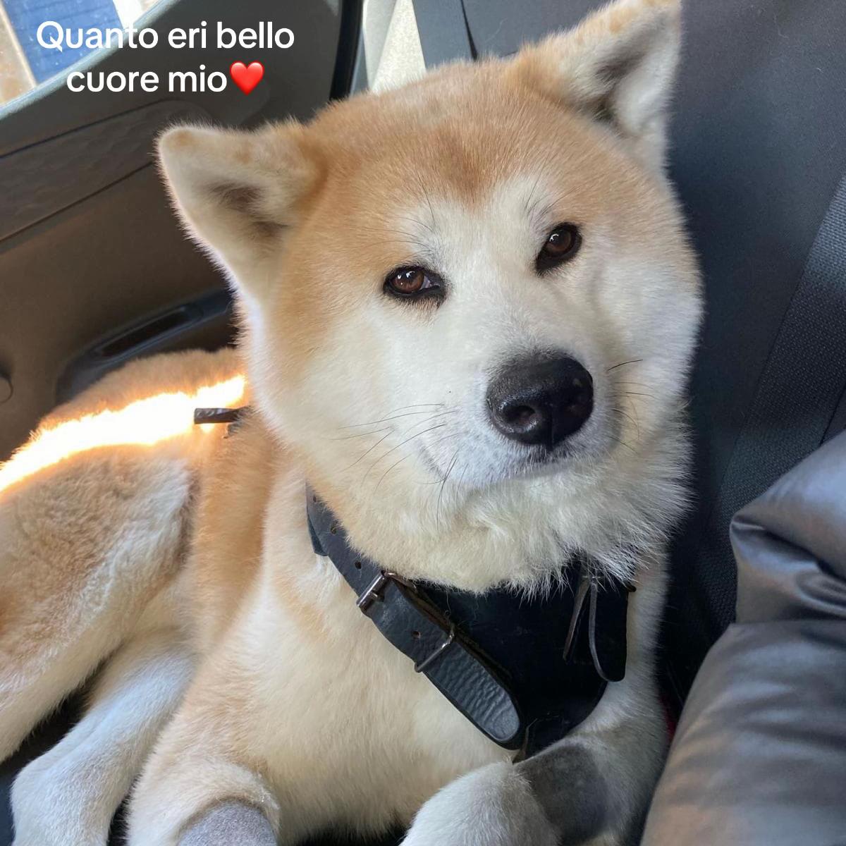 @Simona Palazzesi