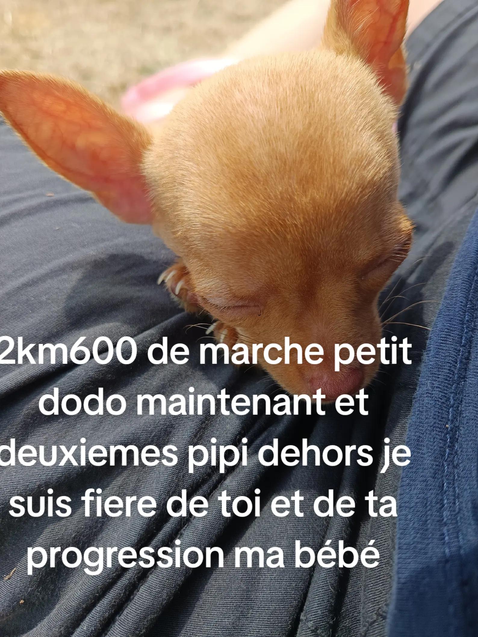 @skiipy ltns