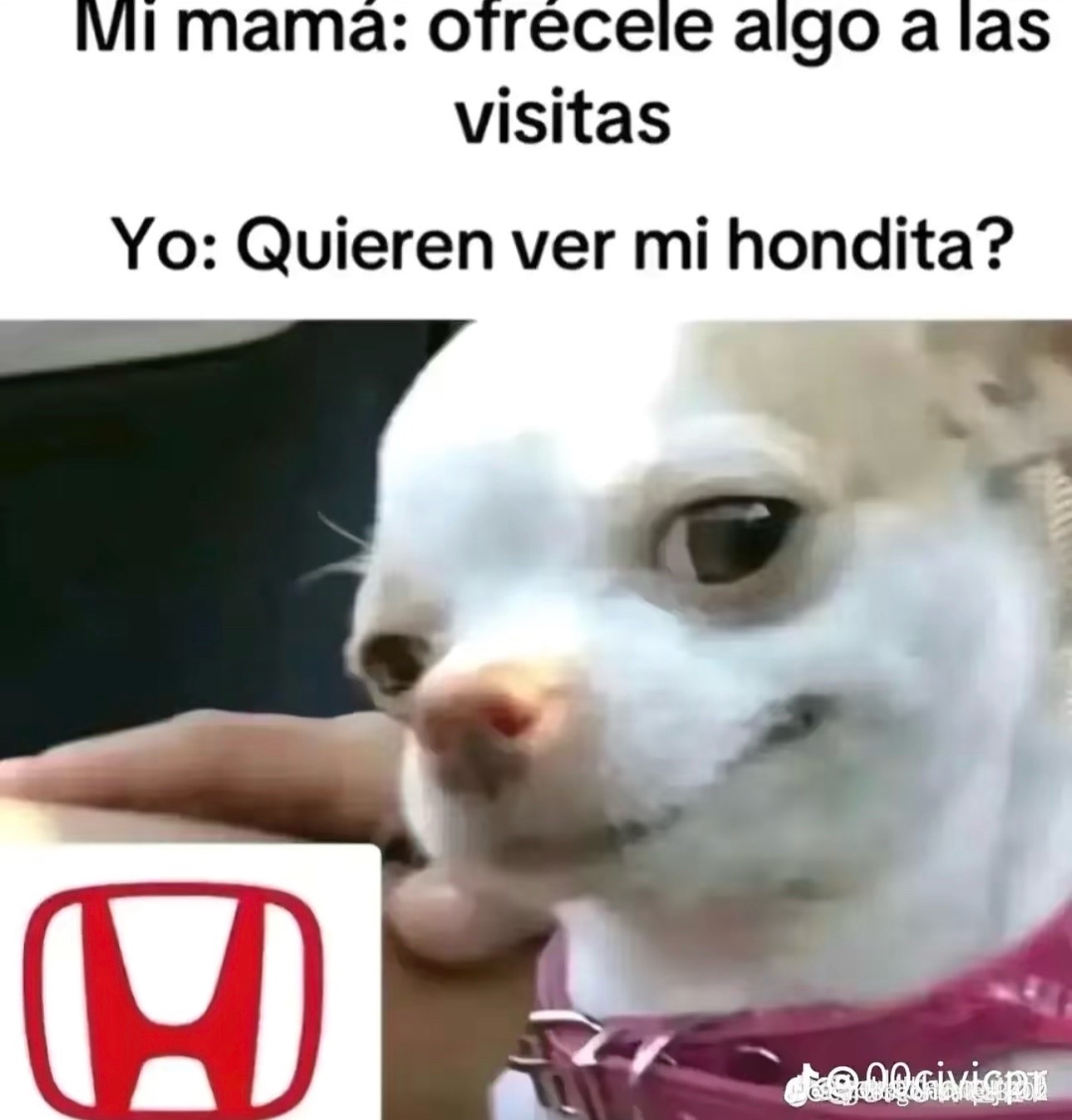 @ThatKidRBM