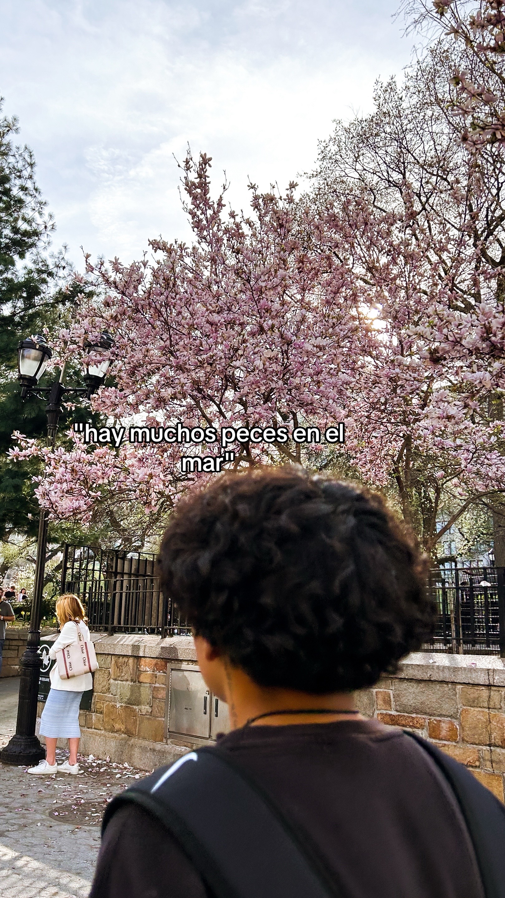 @Cruz🦦