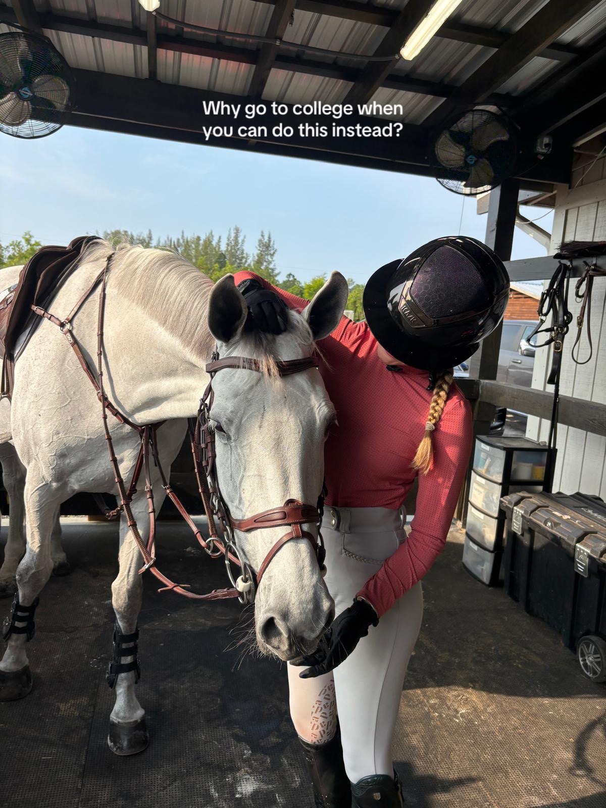 @Equisite Elements of Style