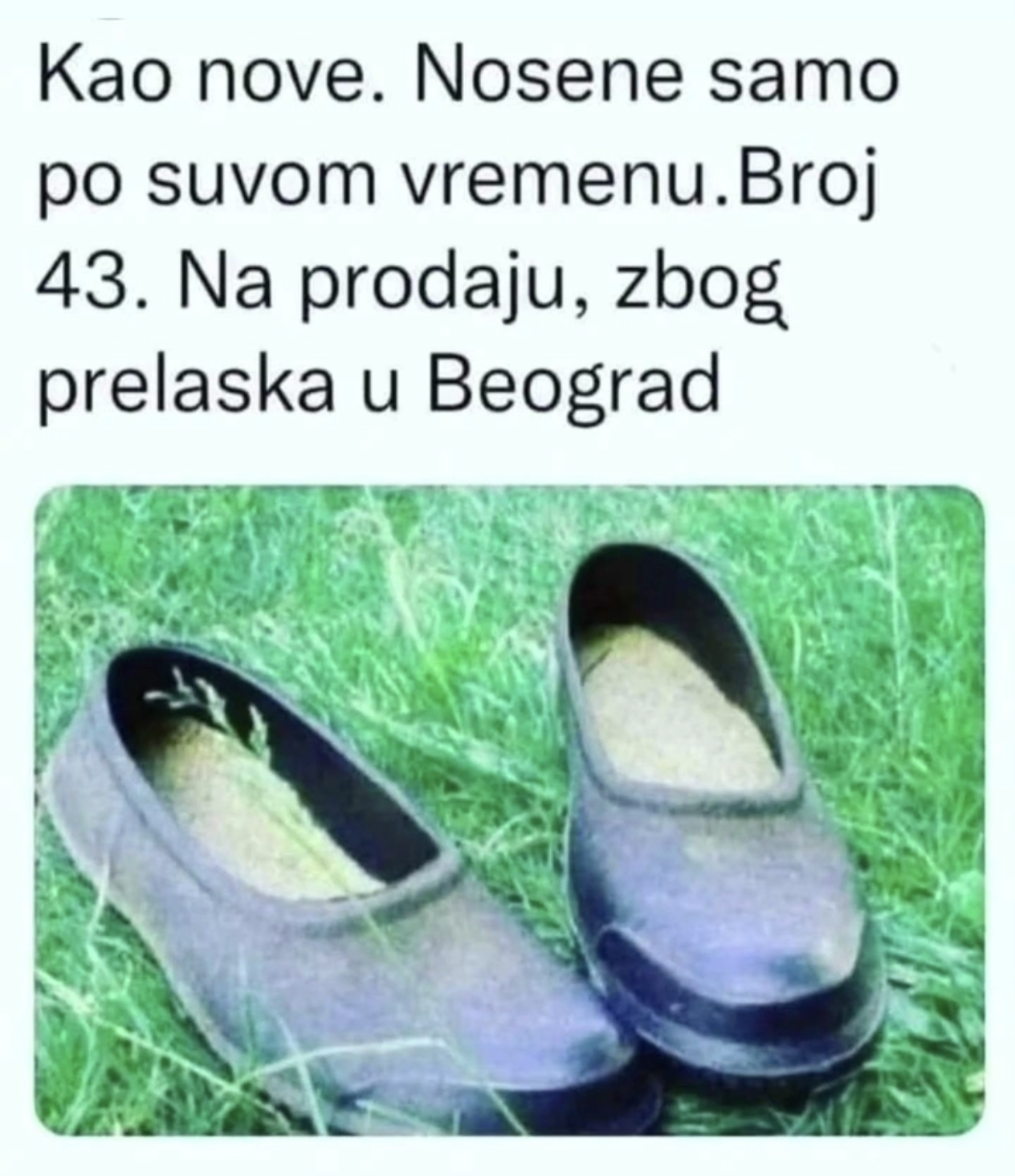 @👑 DJORDJE ZOTOVIĆ 👑