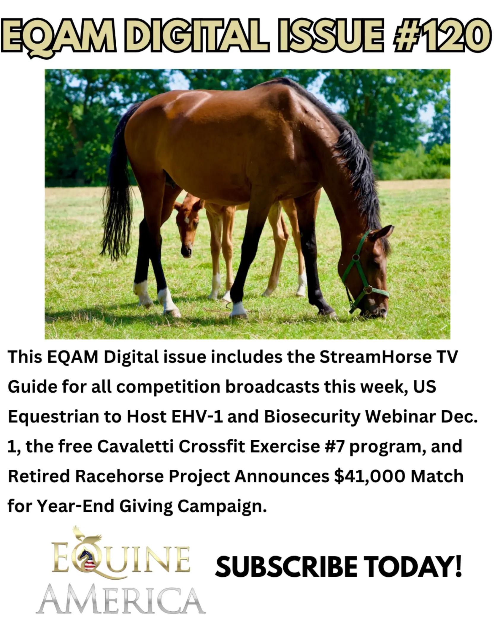 @streamhorse