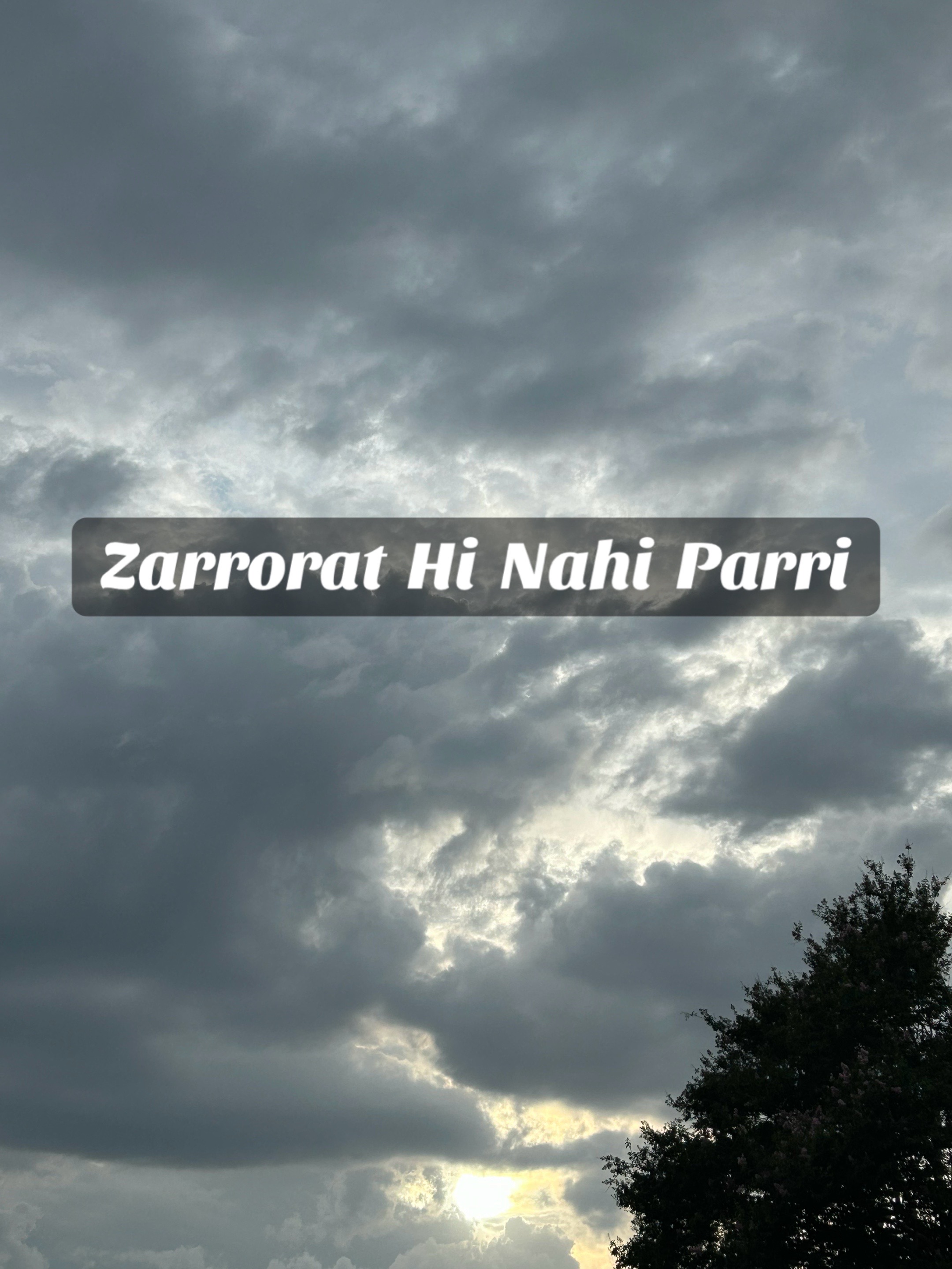 @ZaraHayat020104
