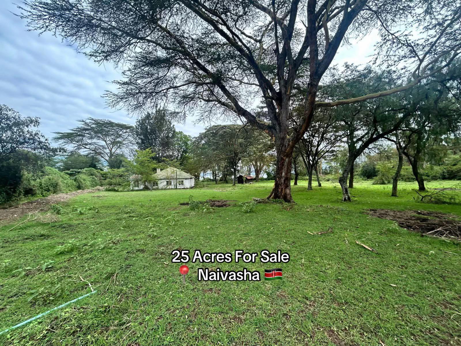 @Mary Zacharia Realty