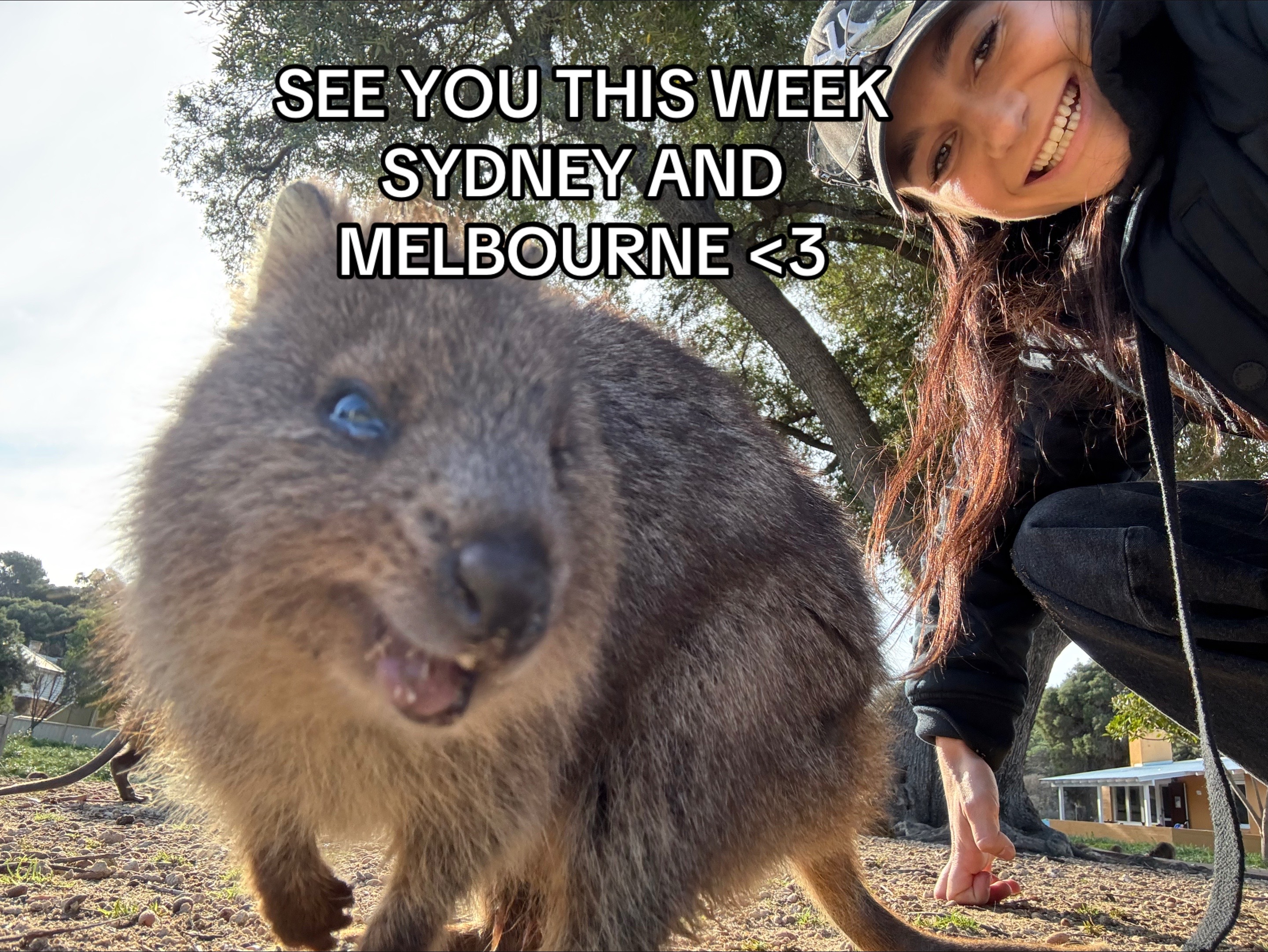 @Daya