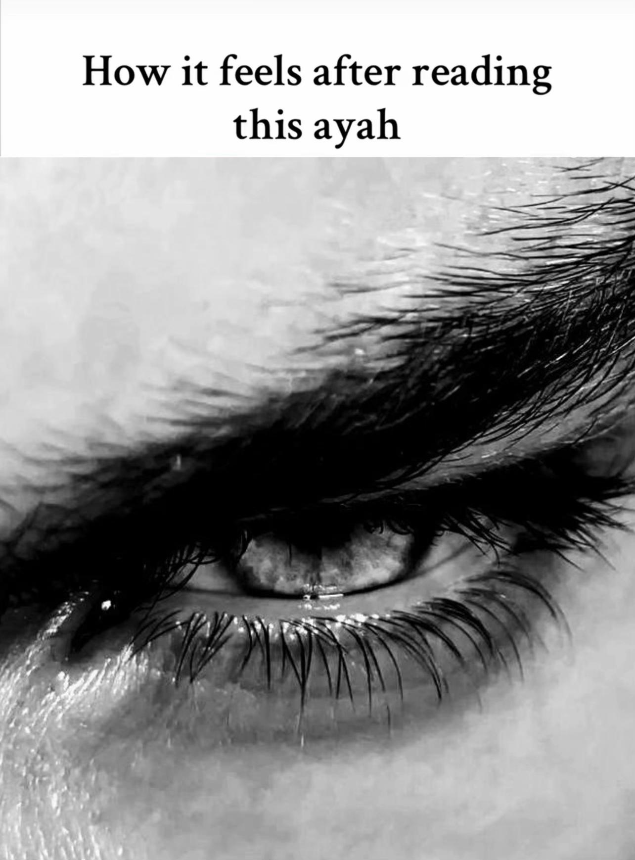 @englishtranslatedquran