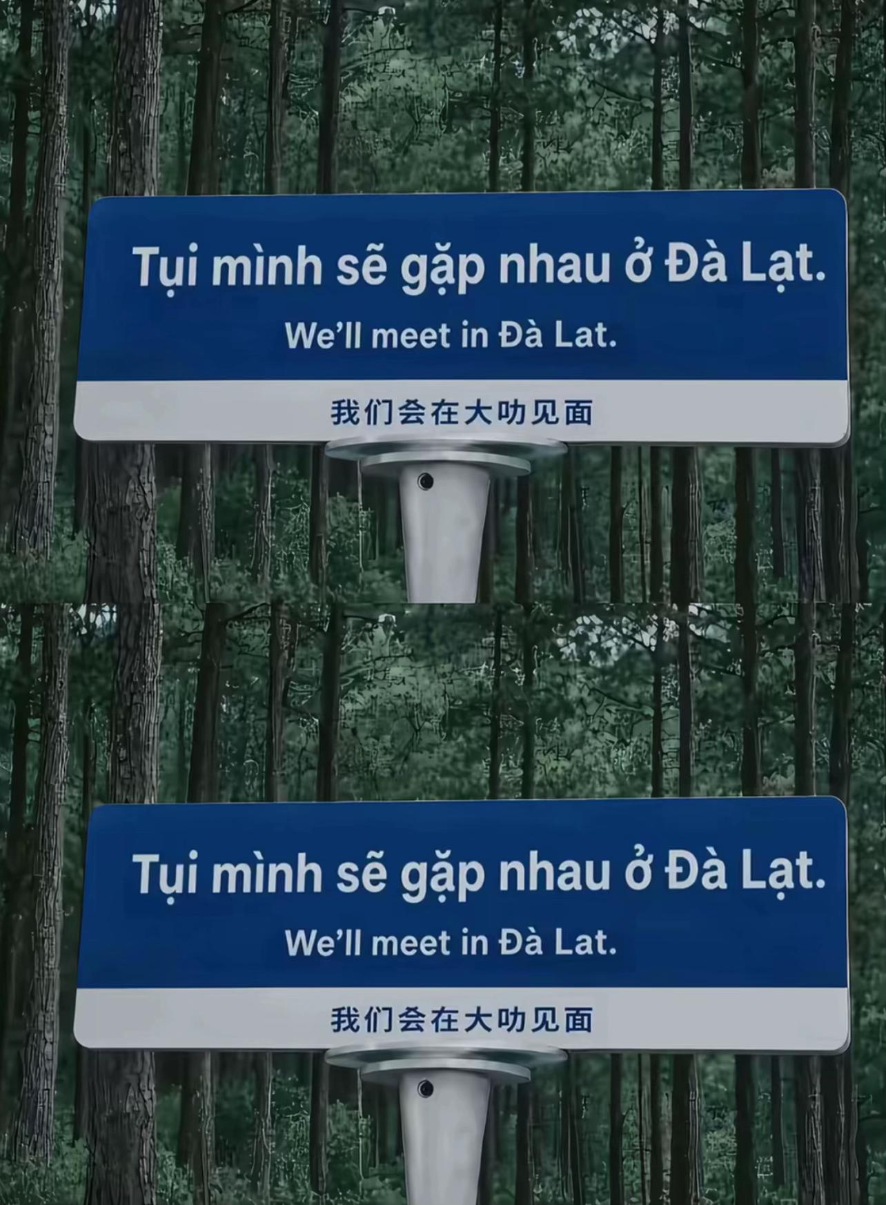 @Tường Vi