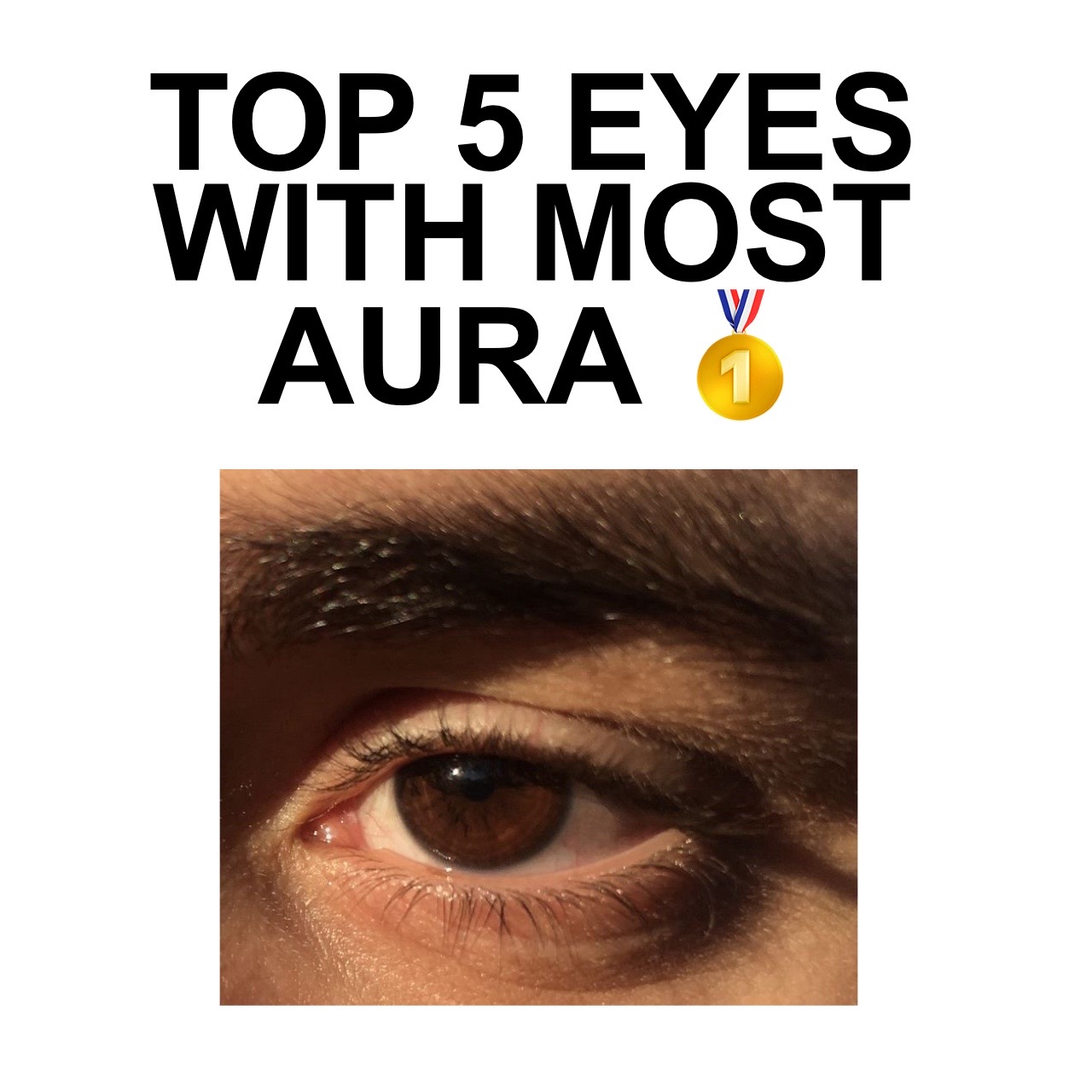 @猫