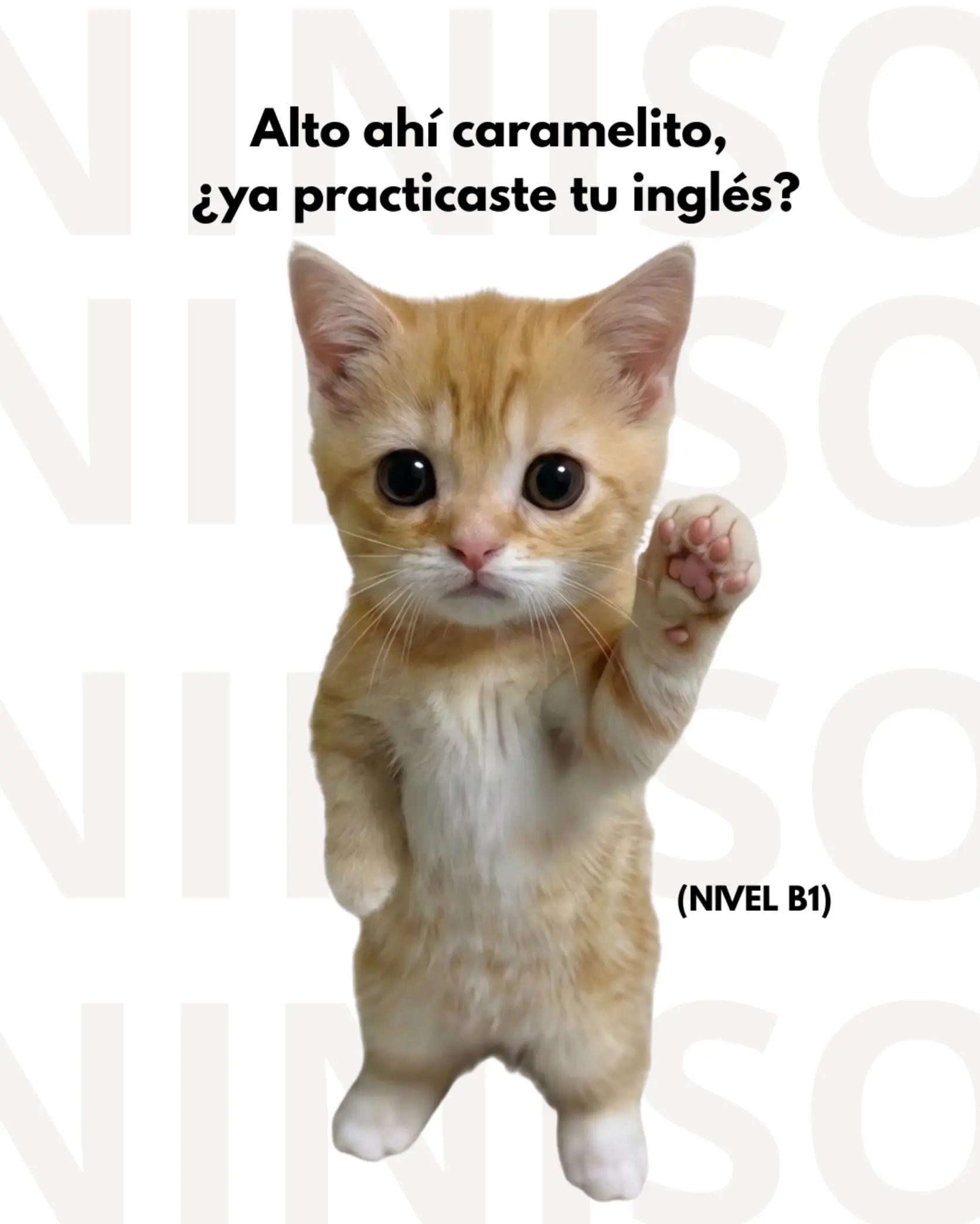 @practicainglescaramelito