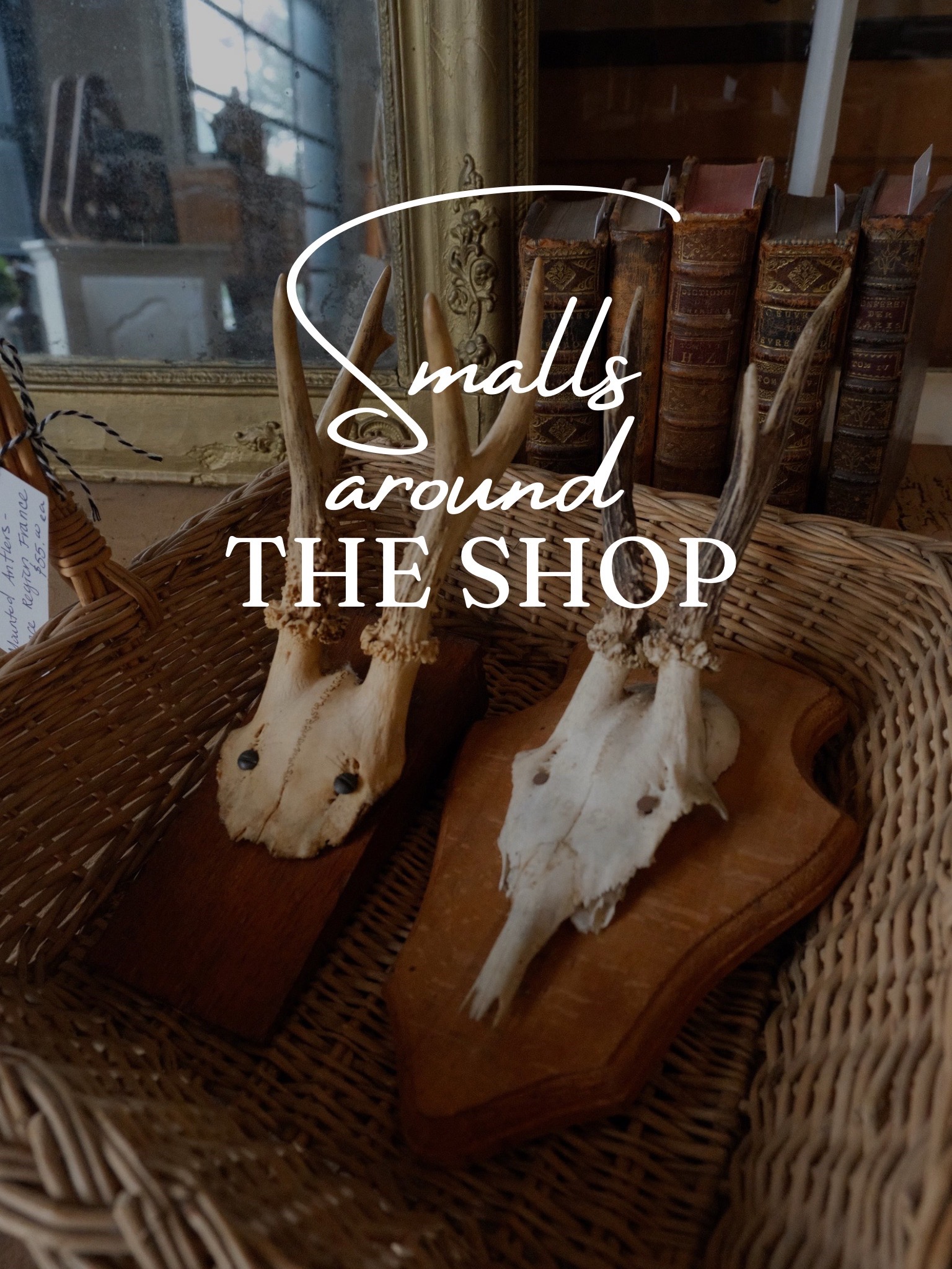 @Elsass | Imported Antiques