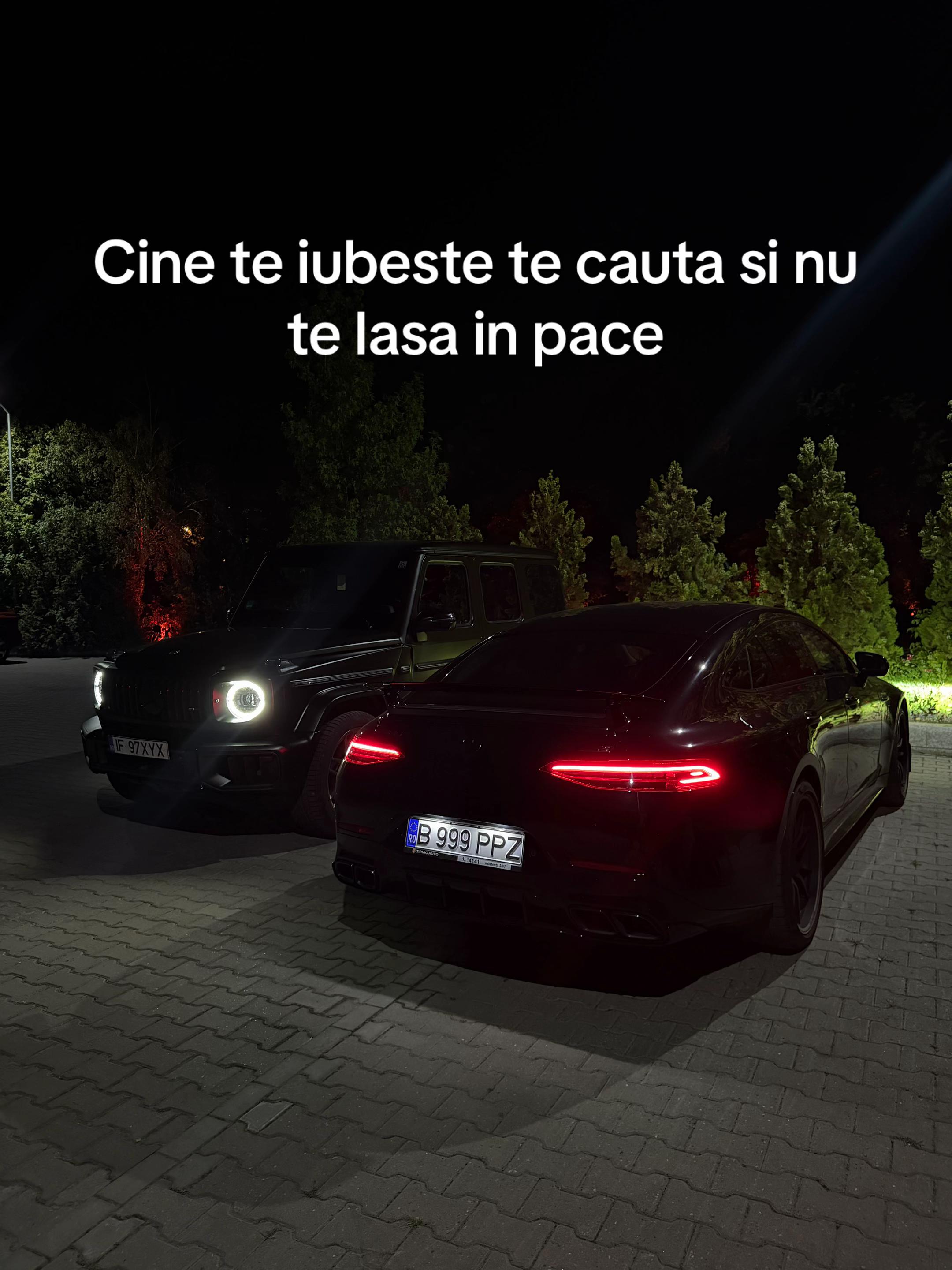 @Theodor Andrei