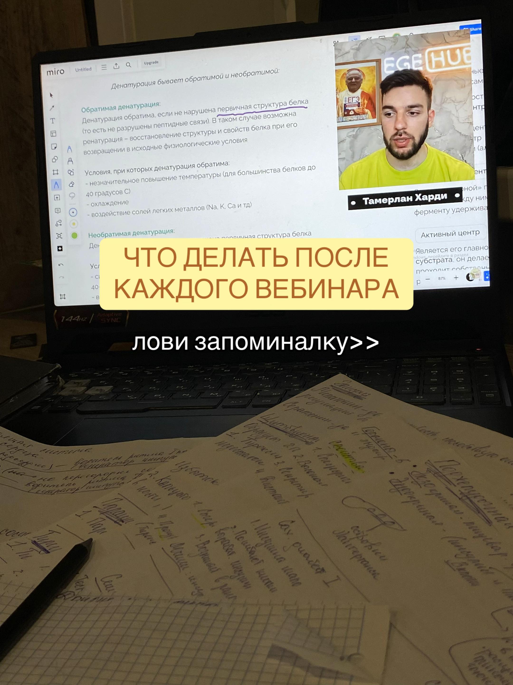 @yayga