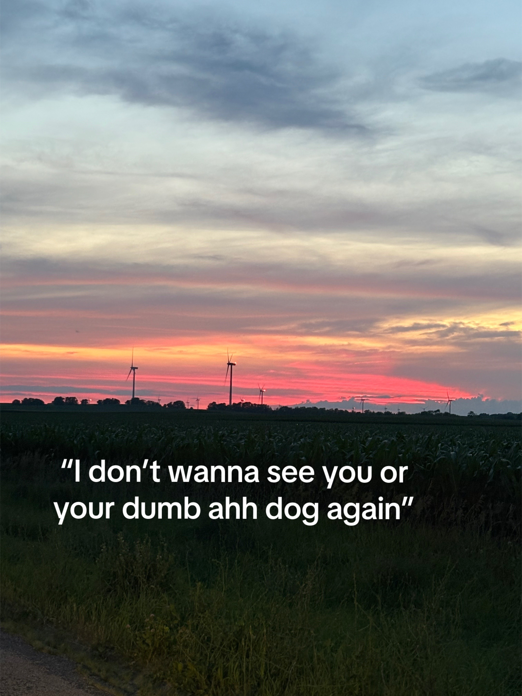@Waylon