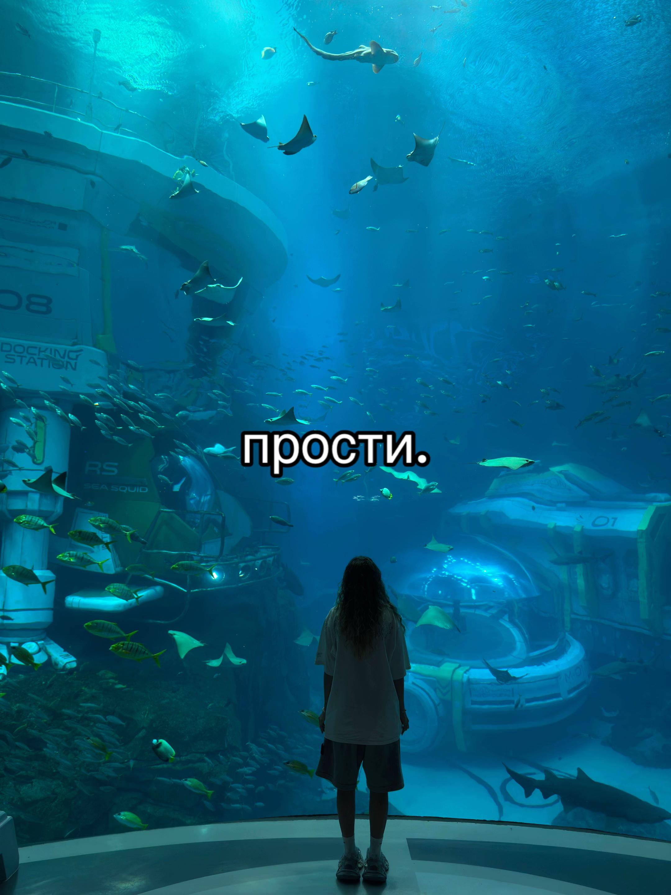 @Ev04ka