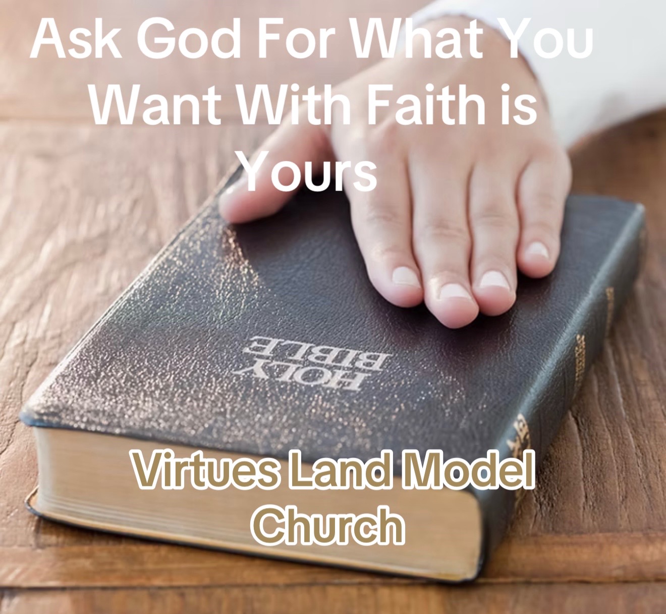 @VIRTUES LAND MODEL&rdquo; VLM