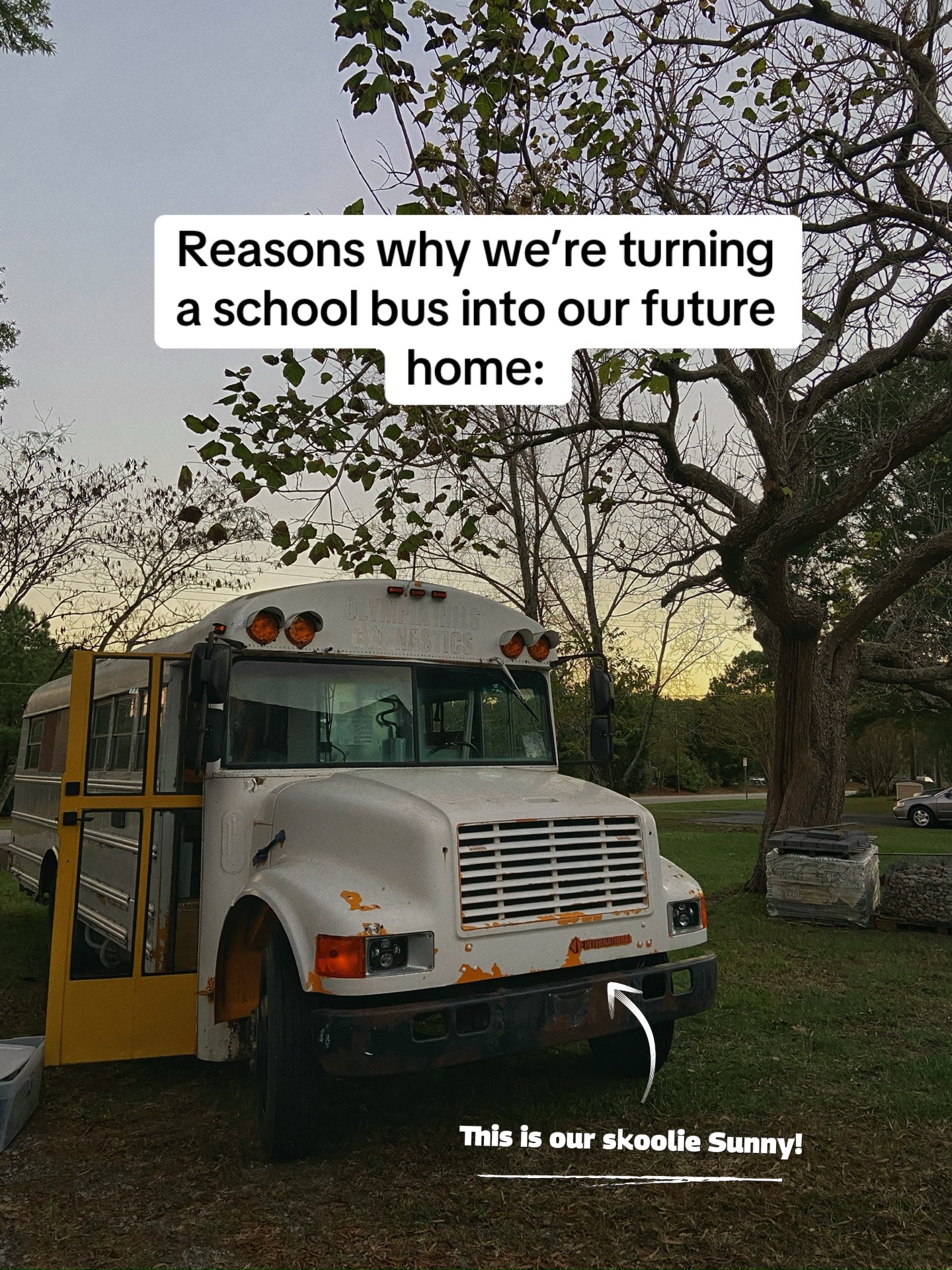 @Sunny The Skoolie