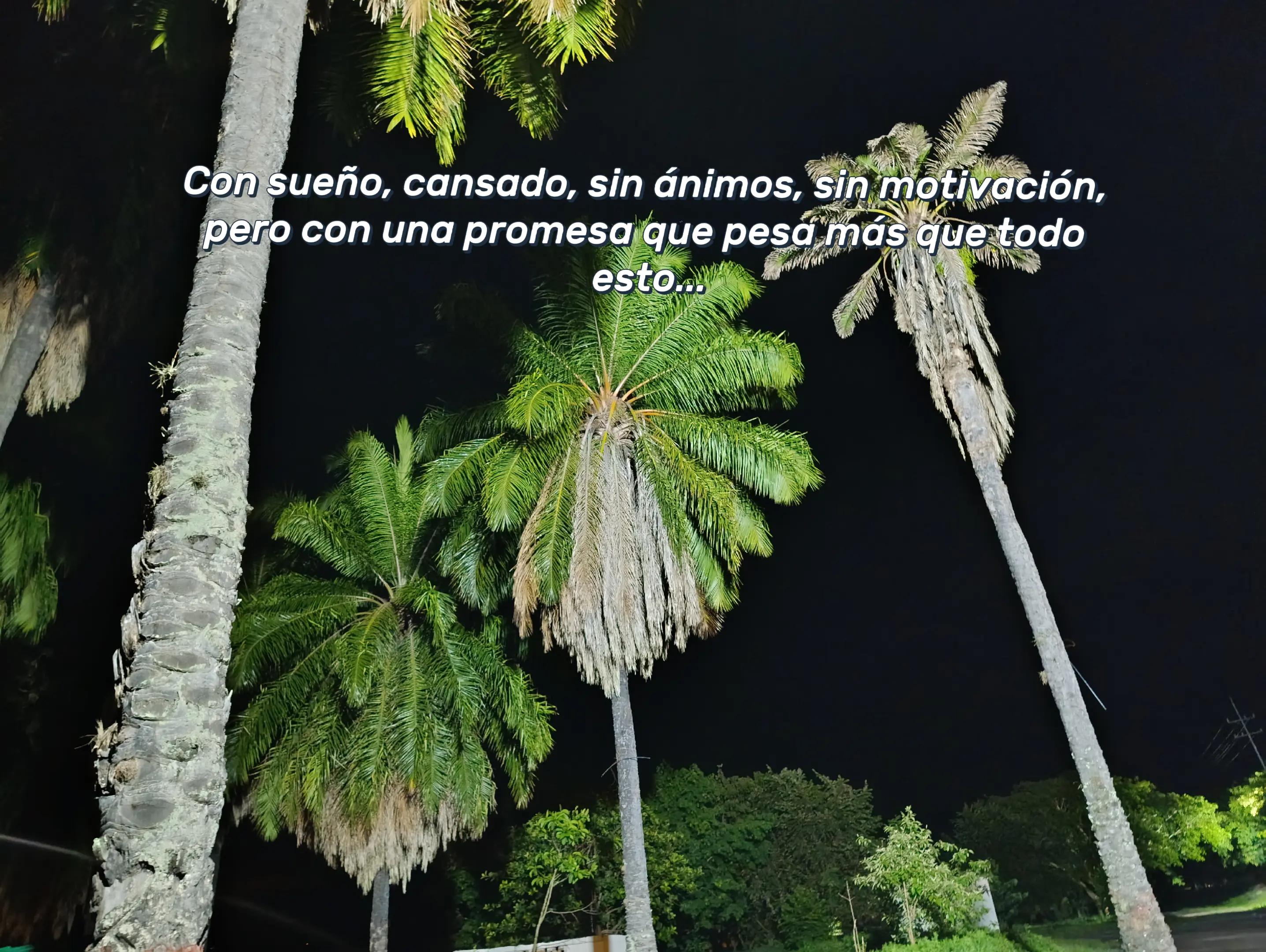 @𝓐𝓷𝓭𝓮𝓻.