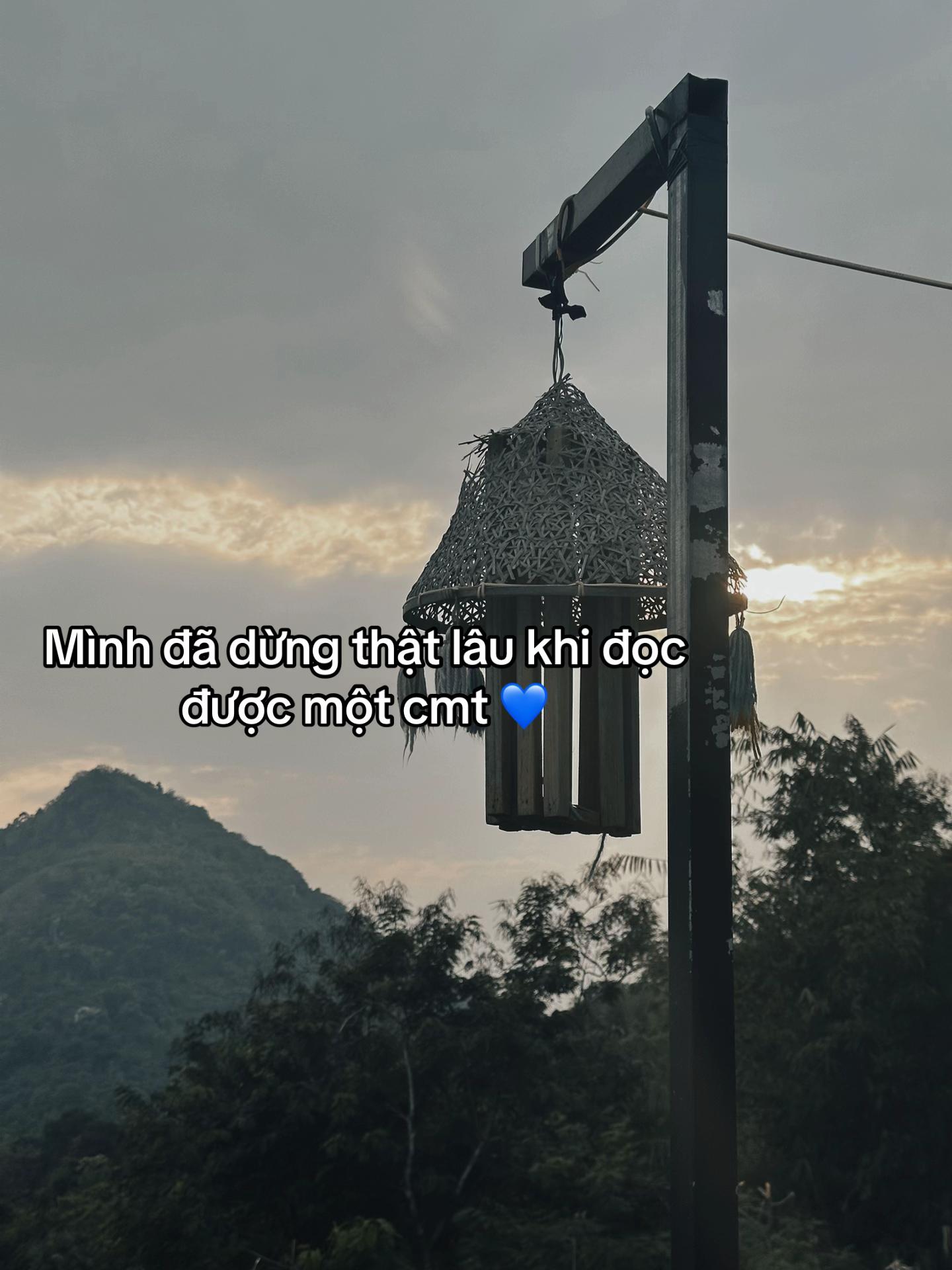 @huynhvan310