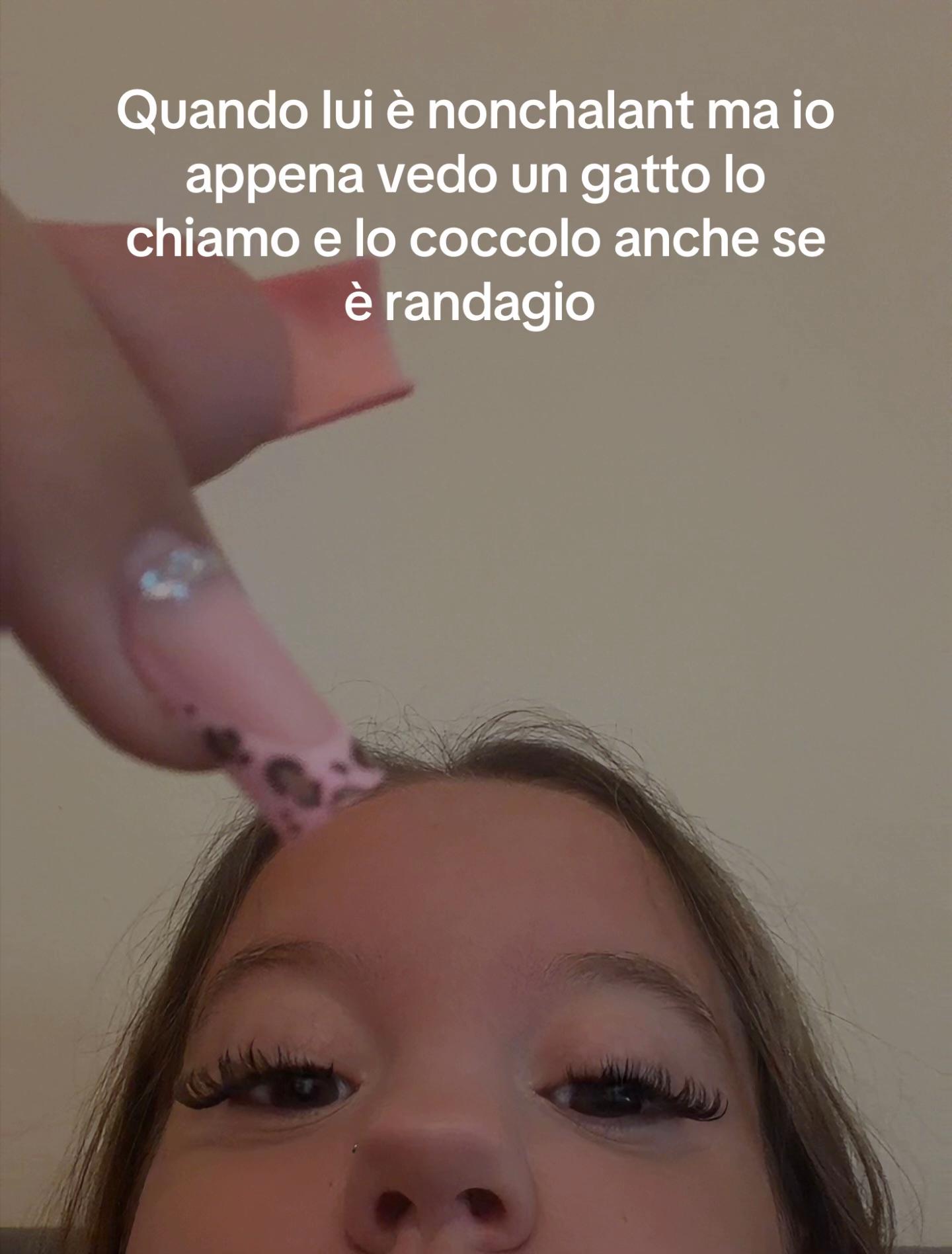 @spam.lindy_