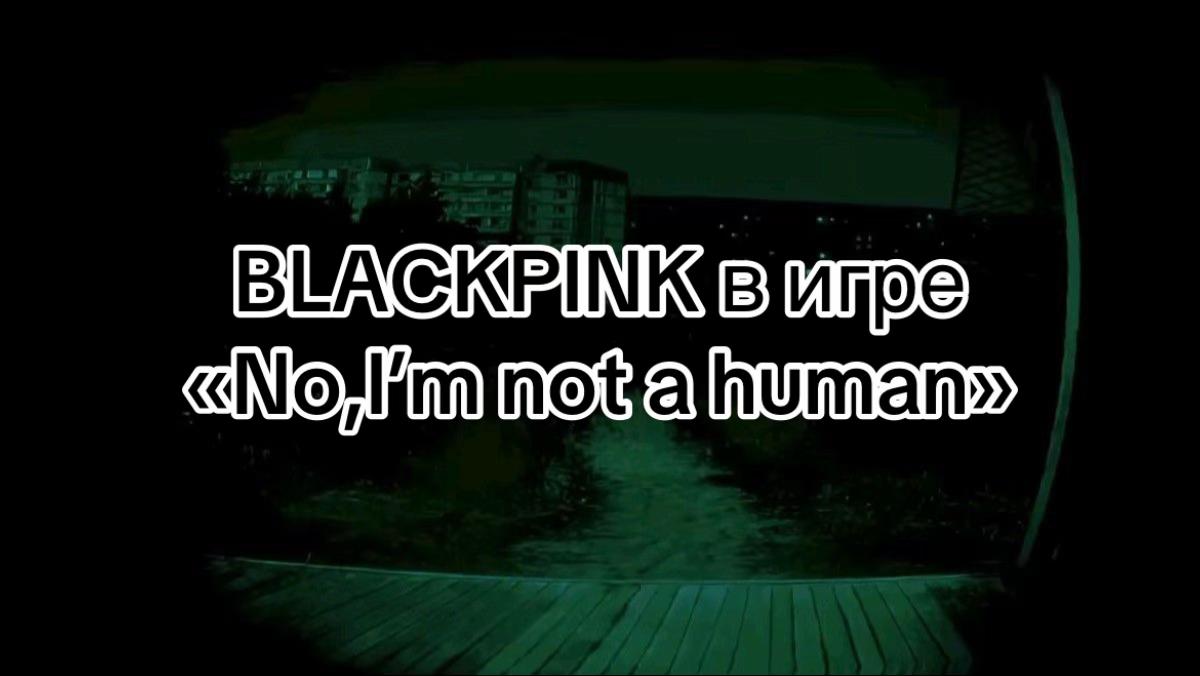@ˑ ִ ׄ ◜ ᴍɪᴜ ᴍɪʟʟᴇʀ ִ ׁ 🦢 .