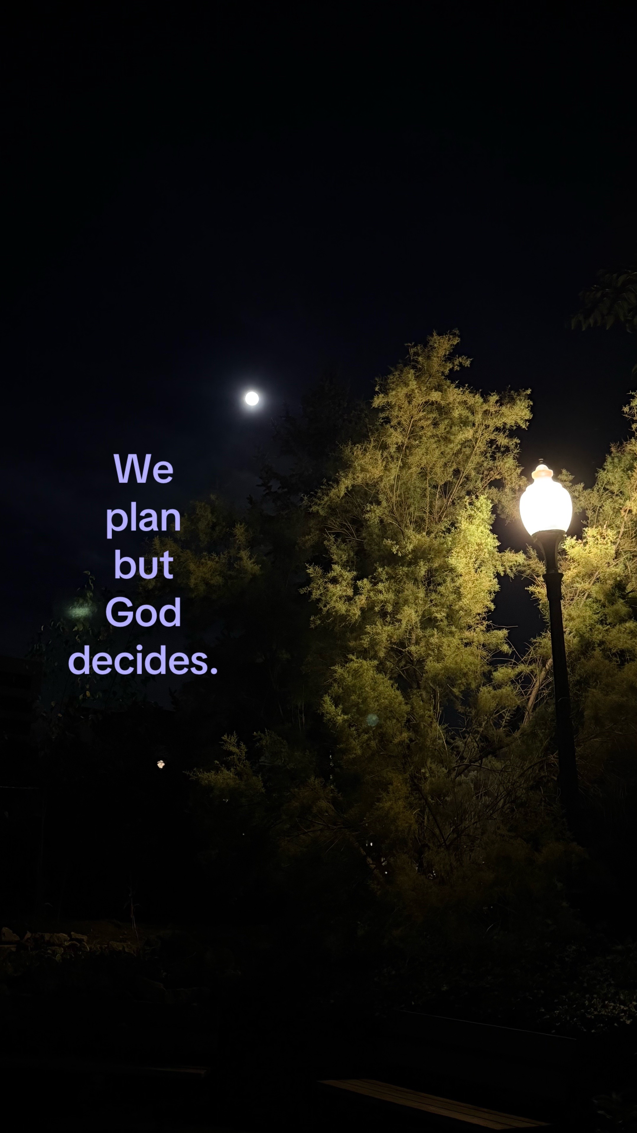 @ℒ ᥫ᭡