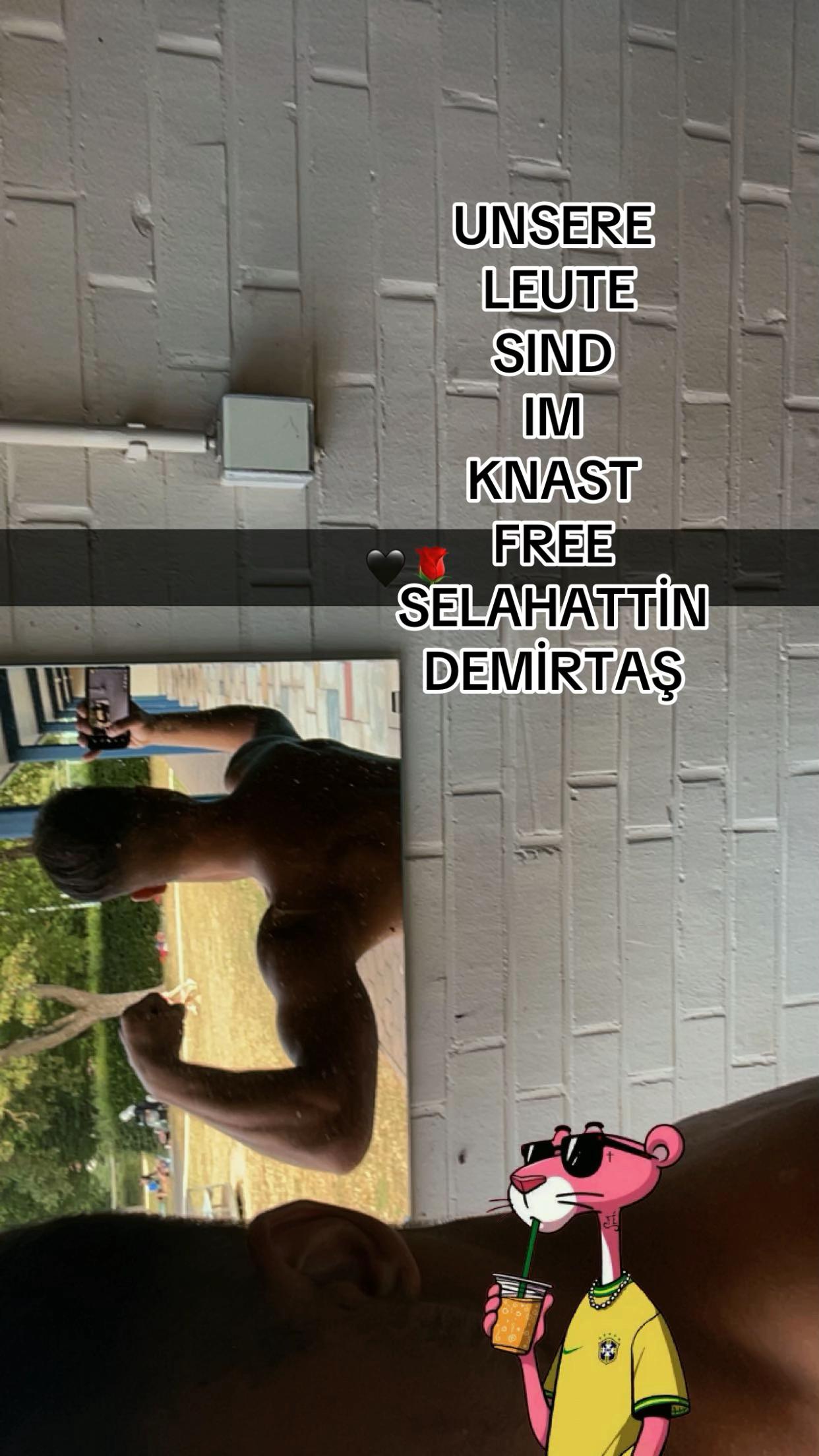 @⚜️WAA ISO⚜️
